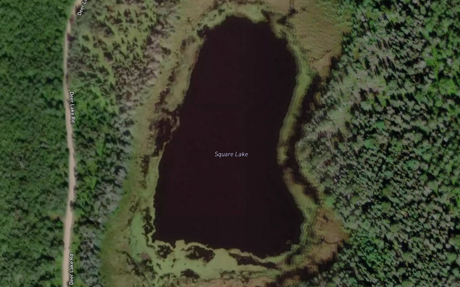 Satellite map of the Square Lake