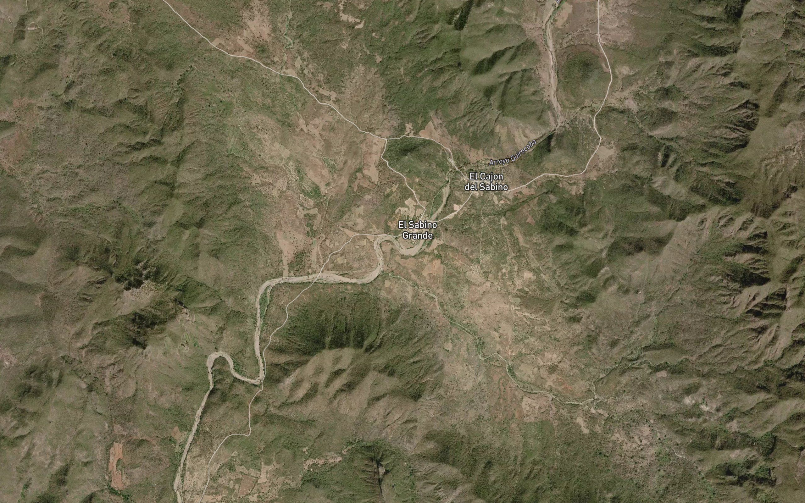 El Palmarito