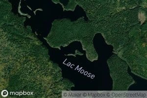 Lac Moose