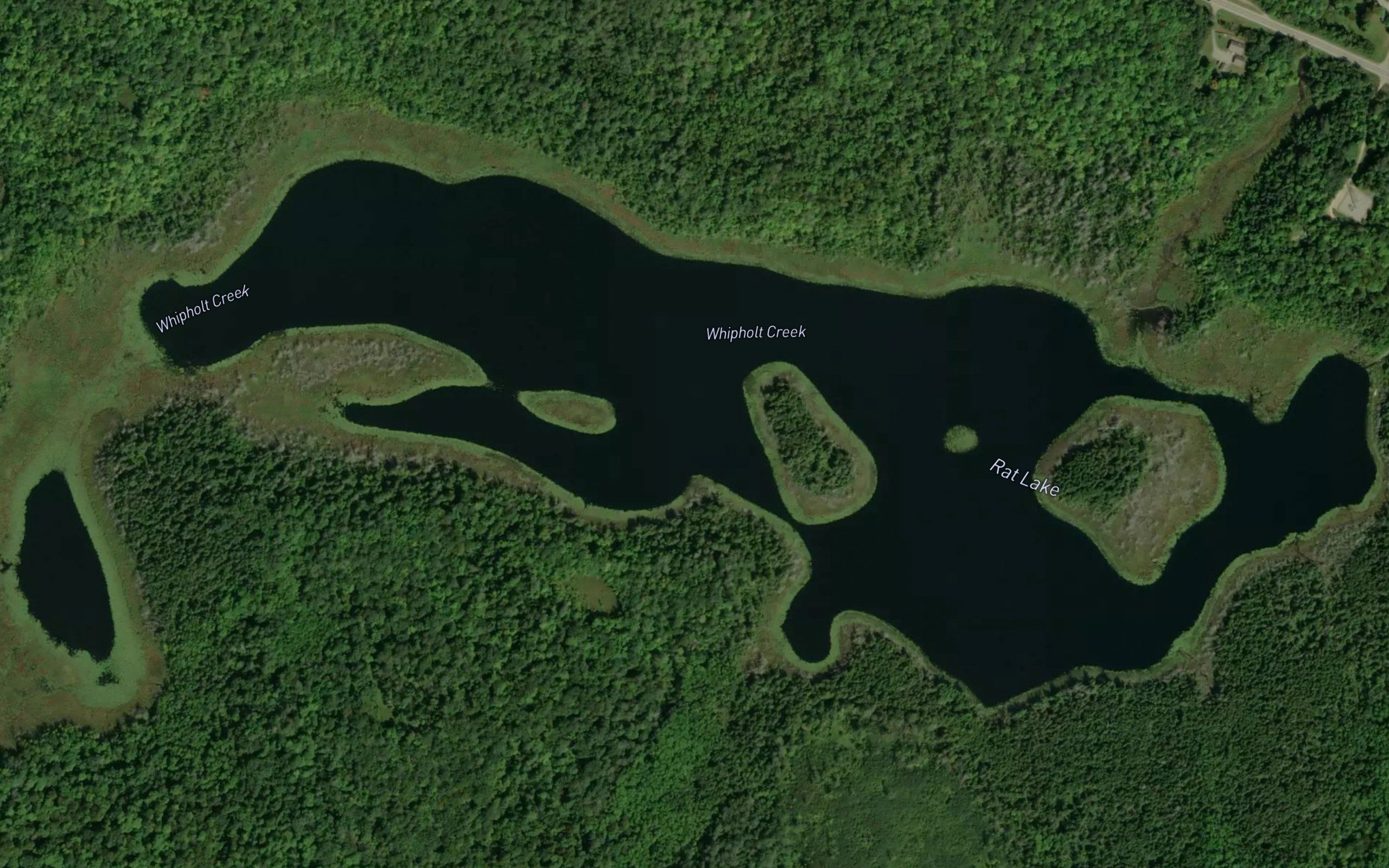 Rat Lake