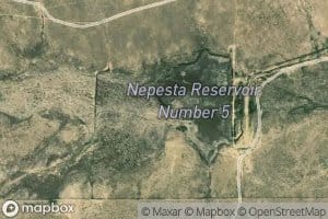 Nepesta Reservoir Number 5