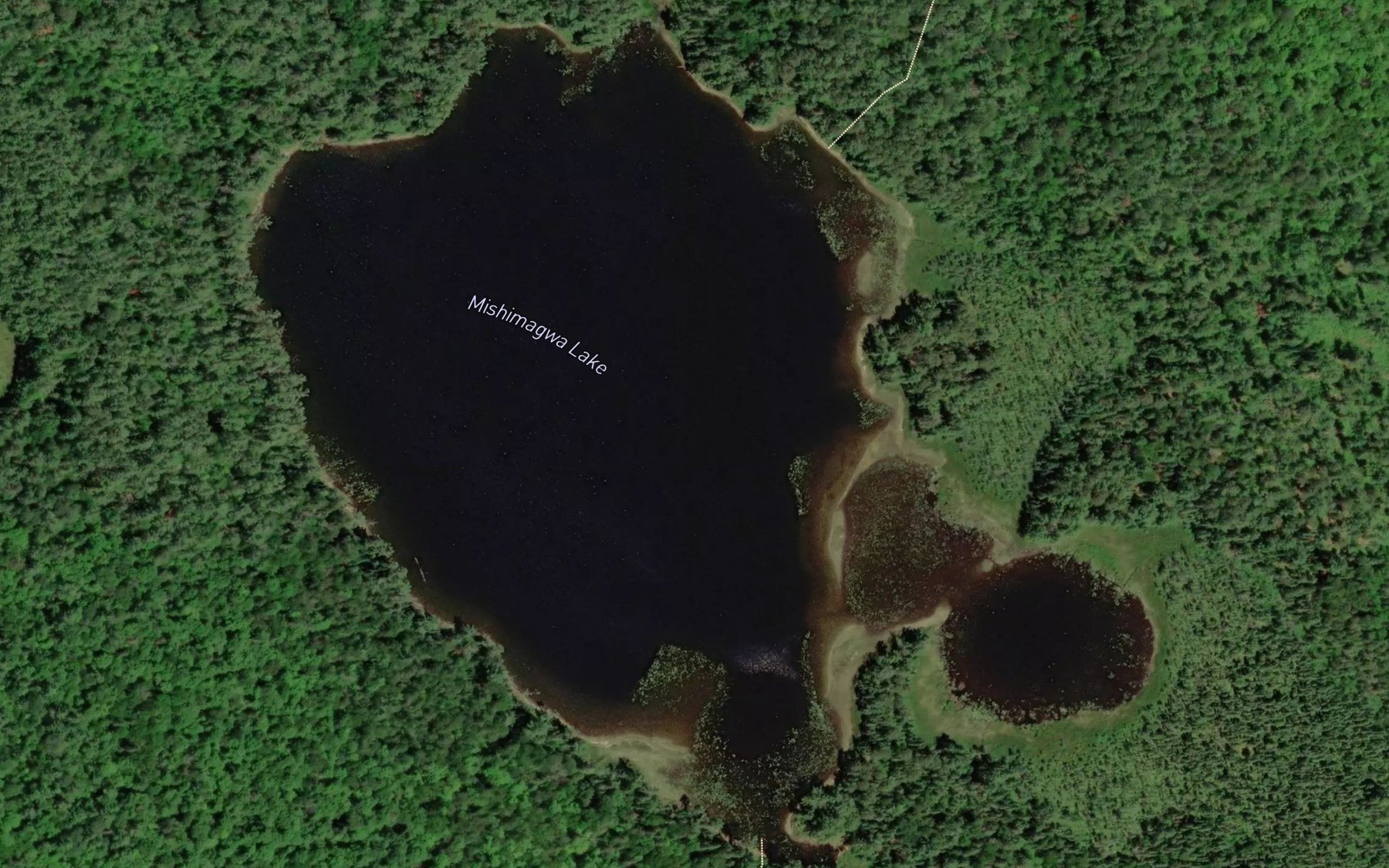 Satellite map of the Mishimagwa Lake