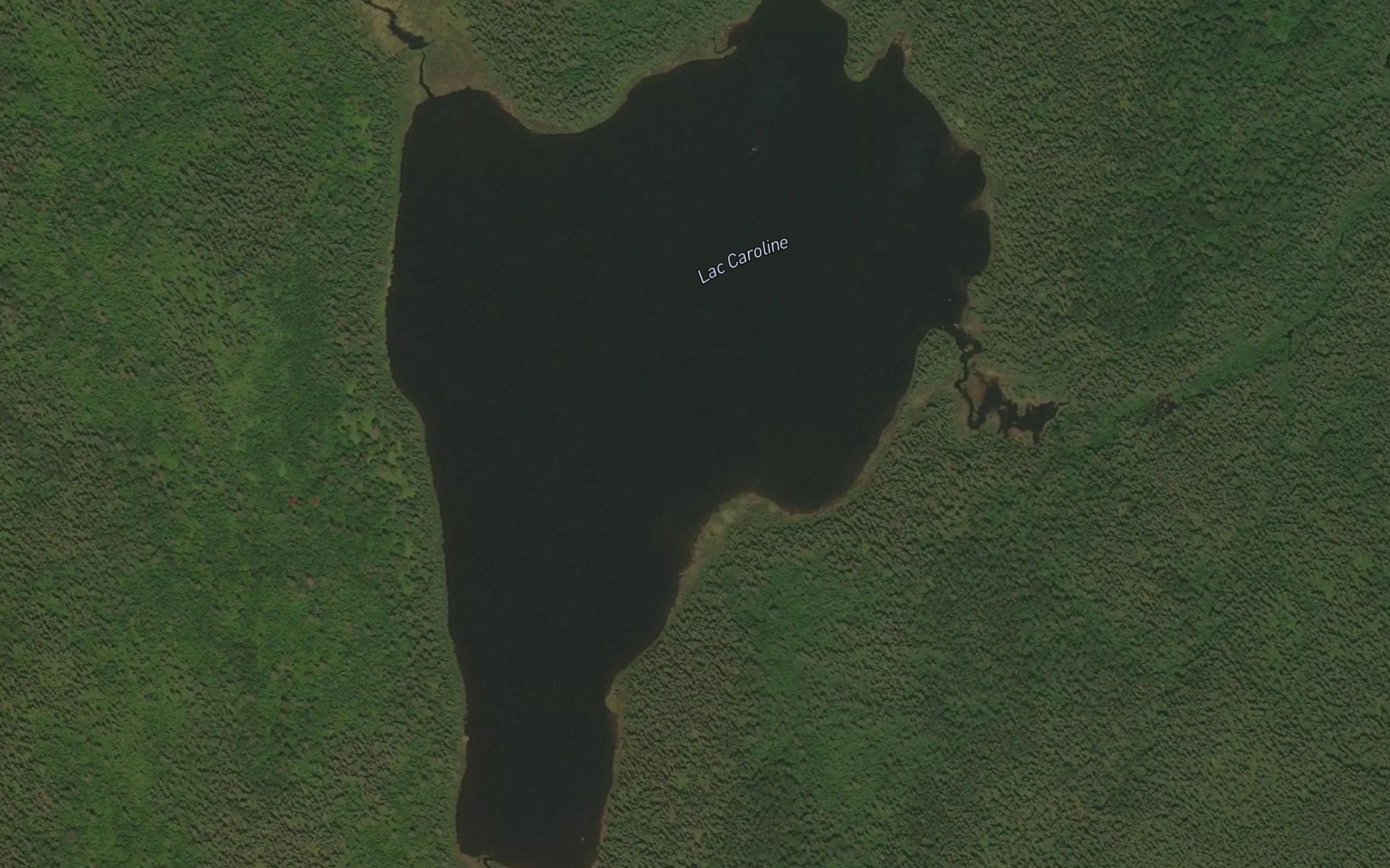 Satellite map of the Lac Caroline