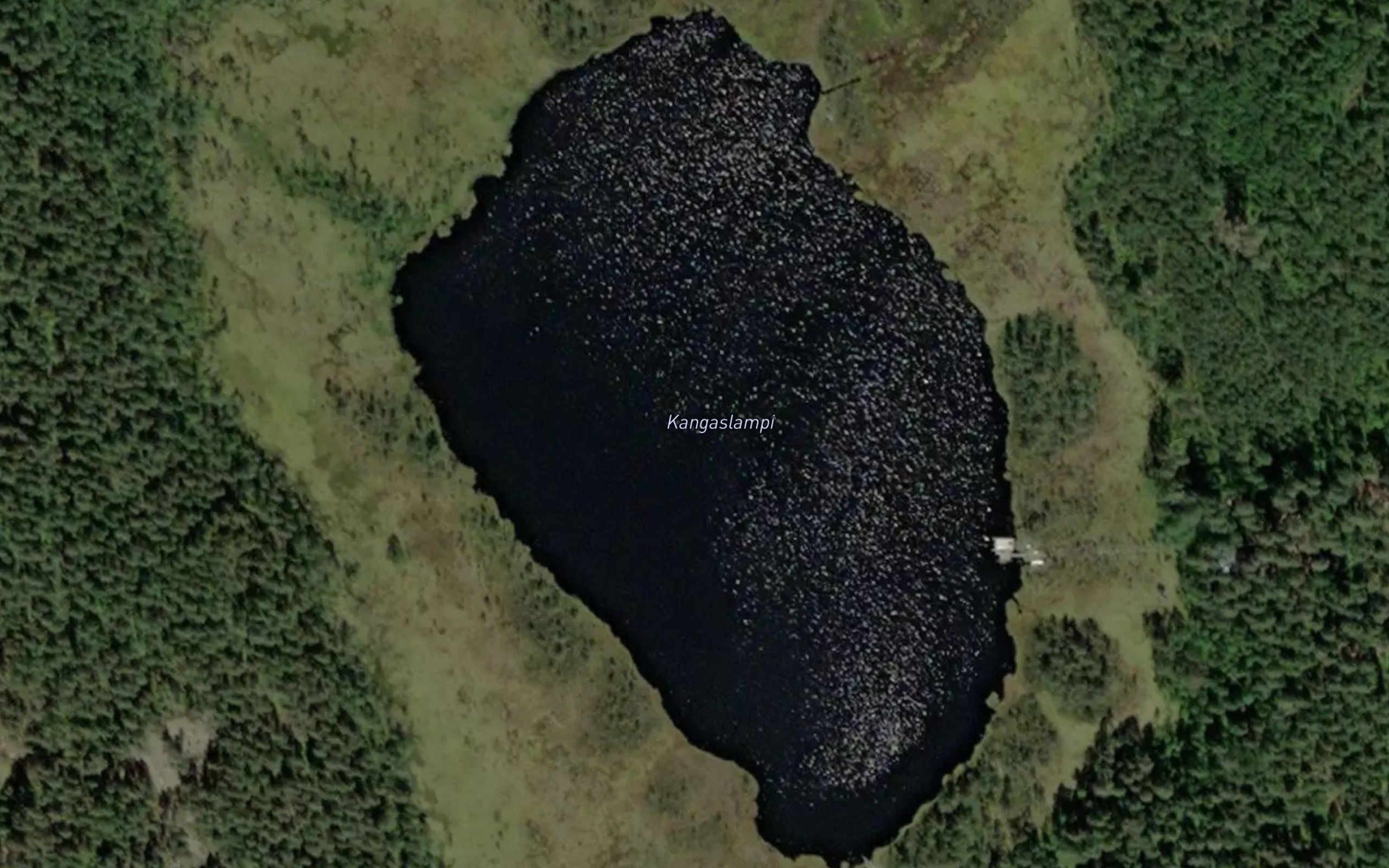 Kangaslampi