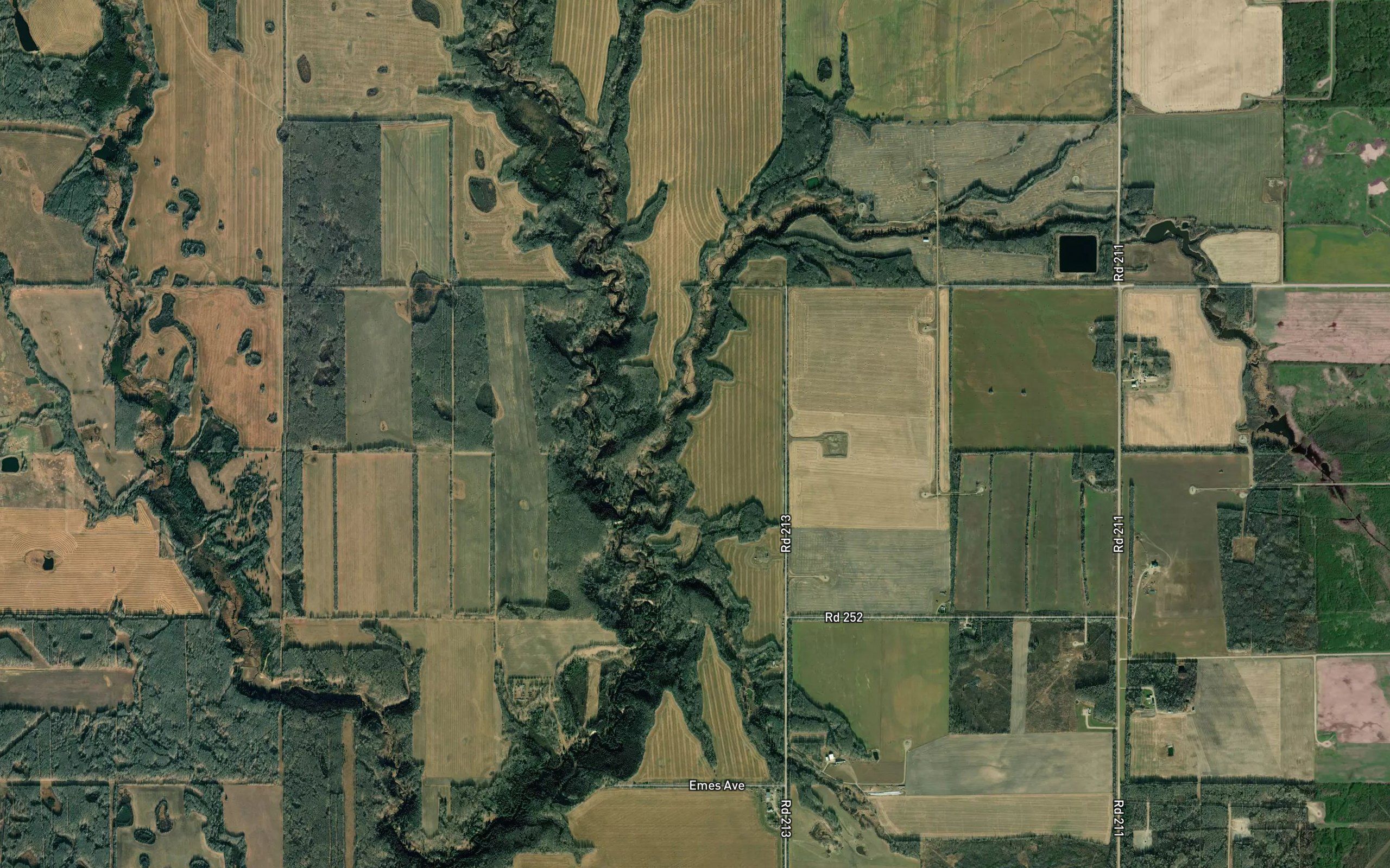 Hogg Creek