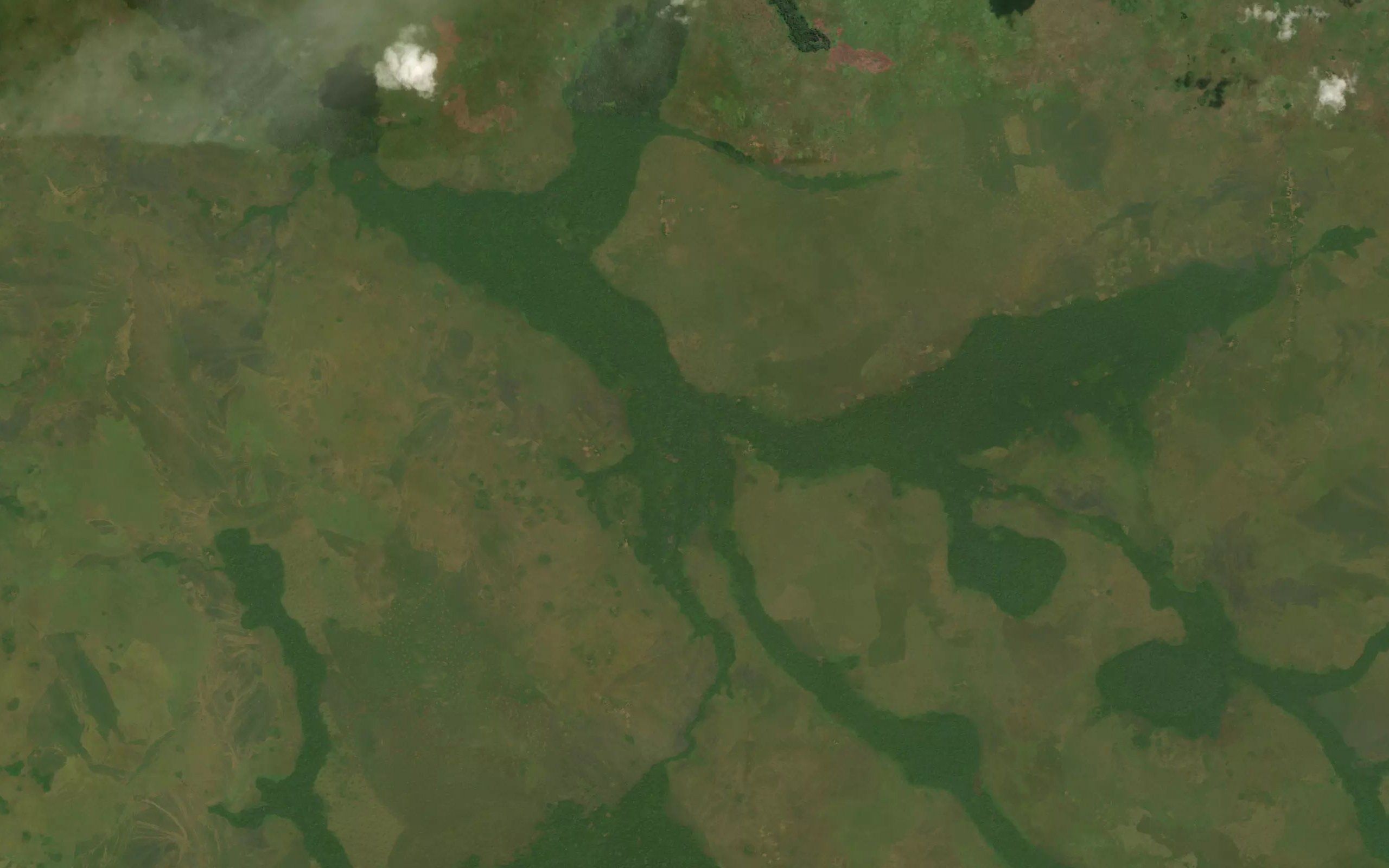 Doluwa