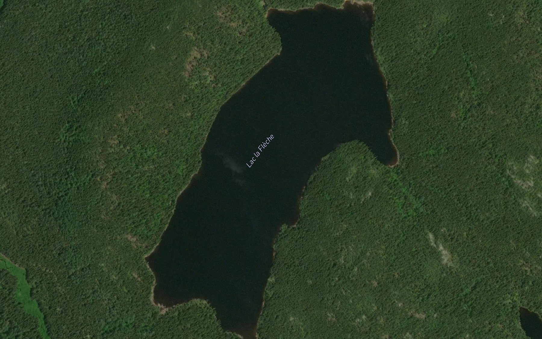 Satellite map of the Lac la Fleche