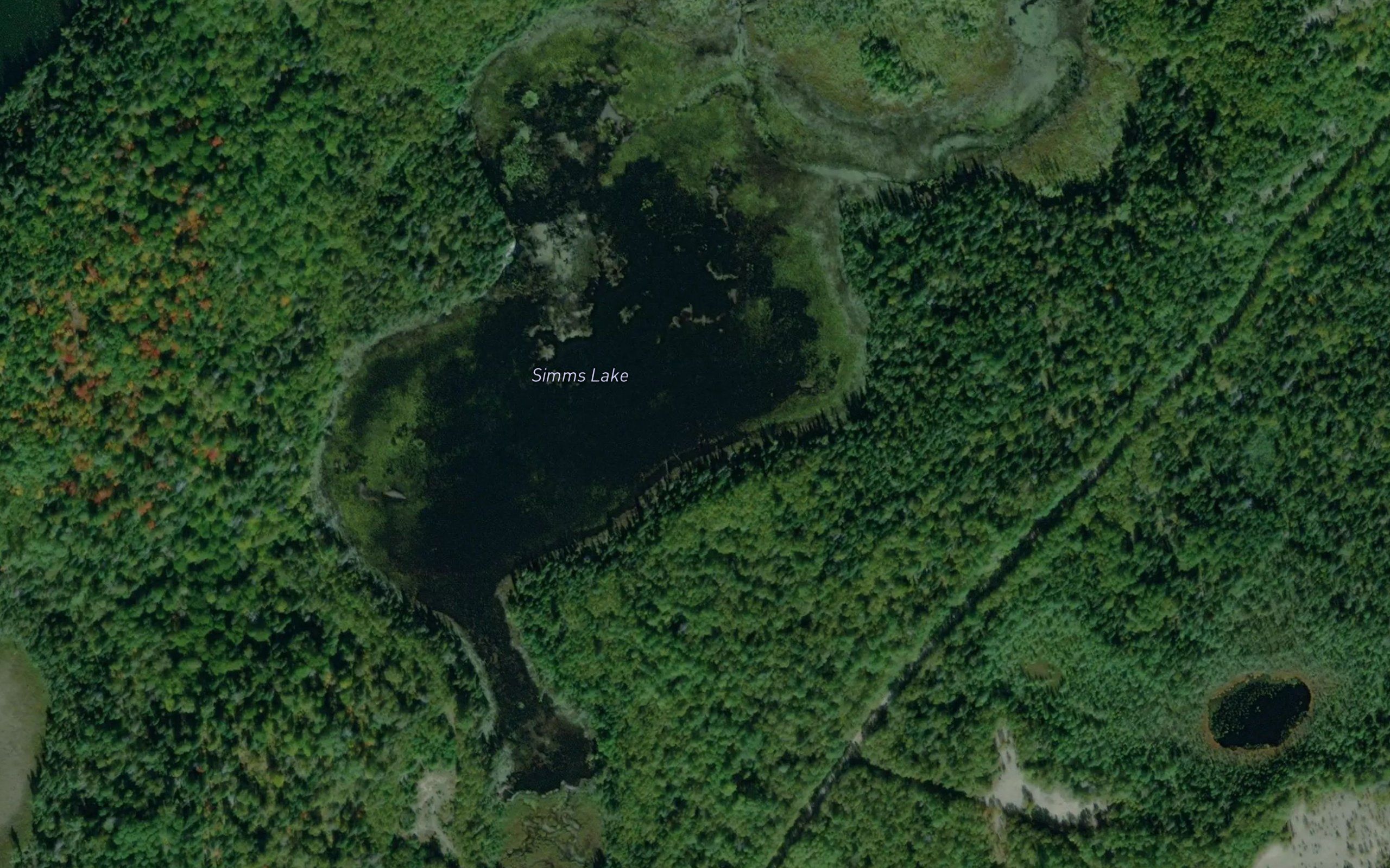 Simms Lake