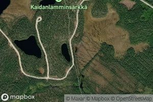 Heinalampi