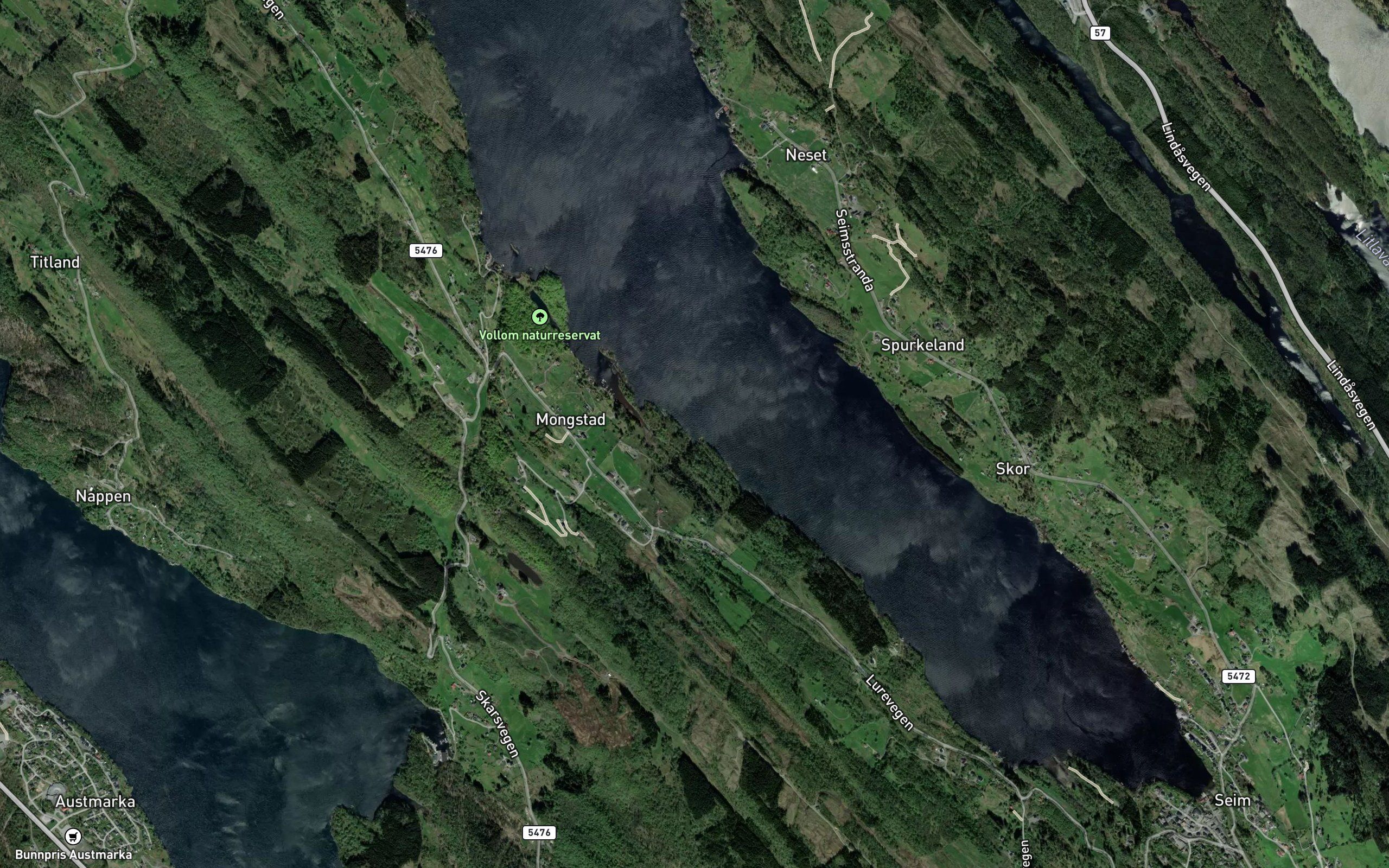 Storsteinviki