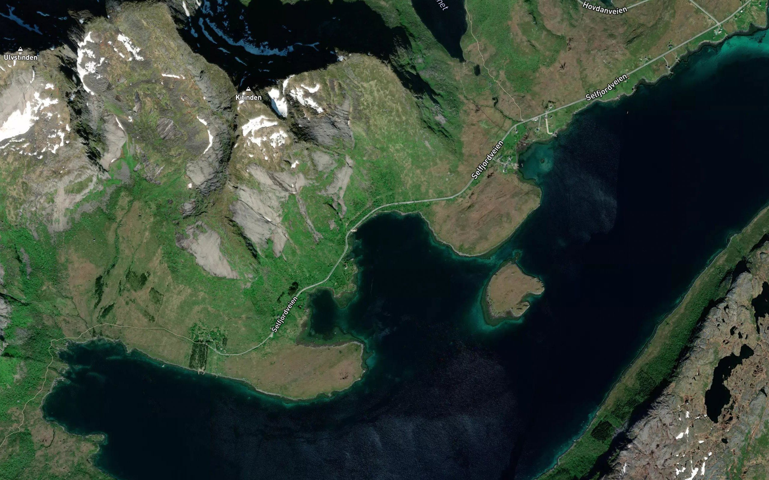 Kinnbukta