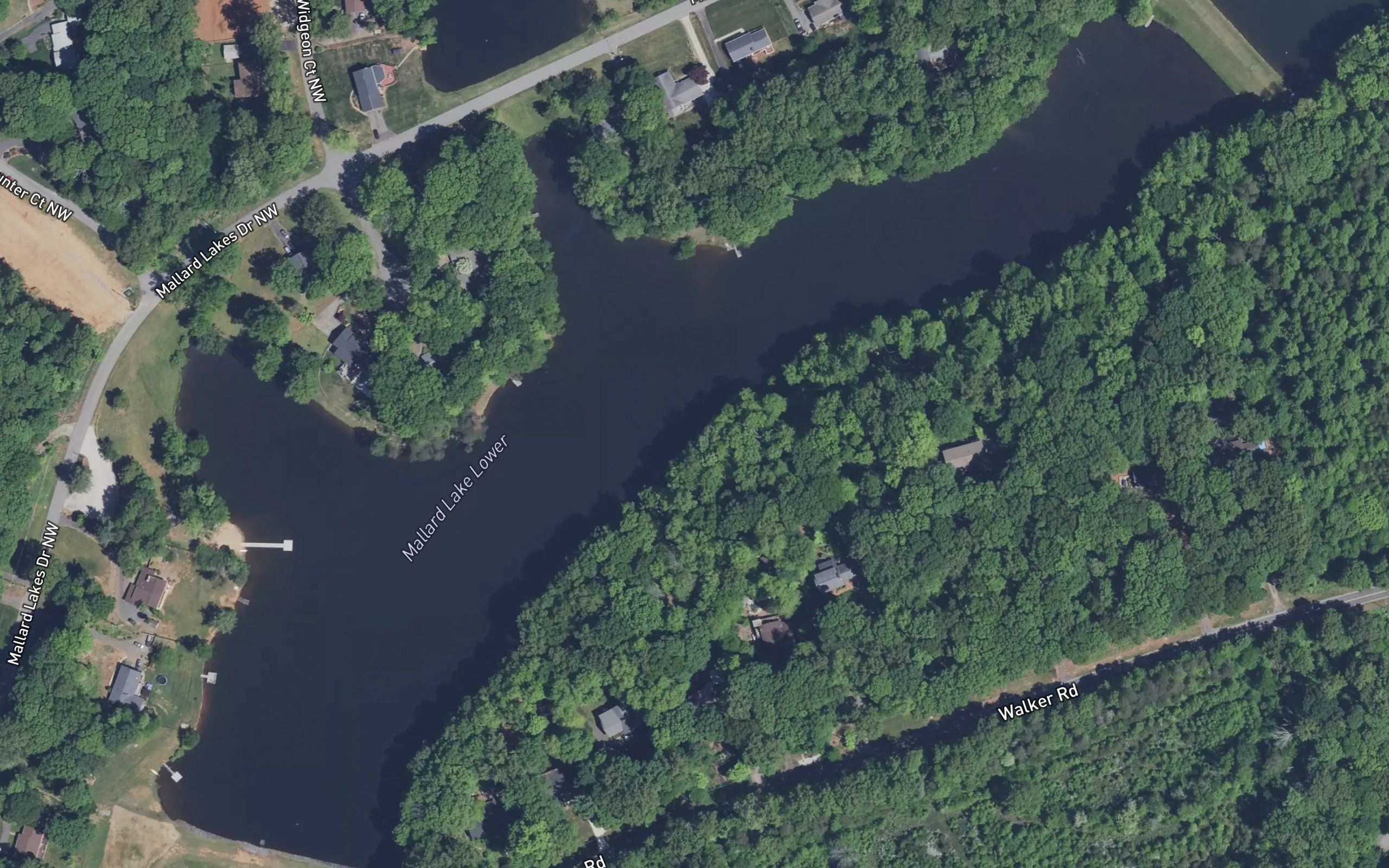 Mallard Lake Lower