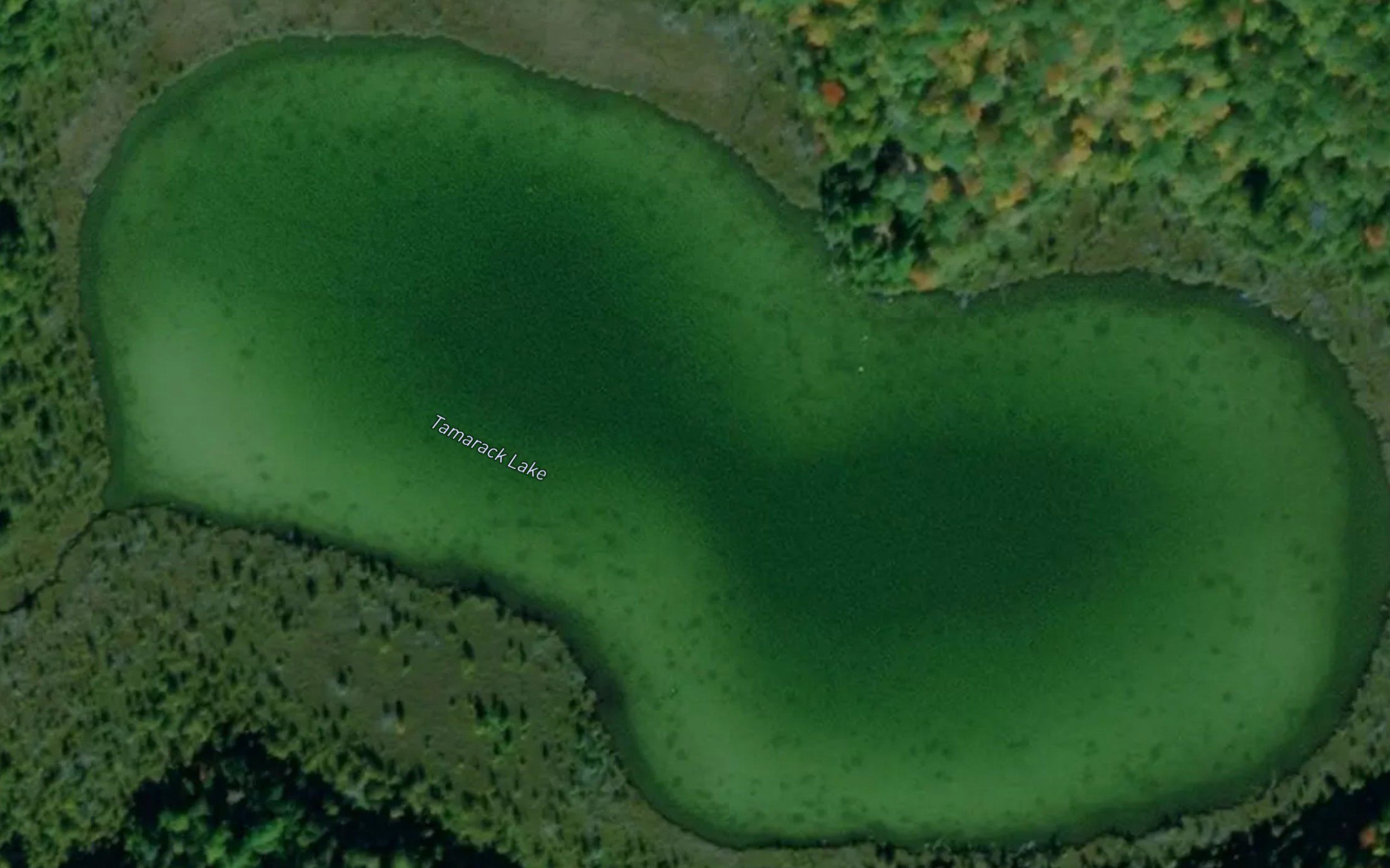Tamarack Lake