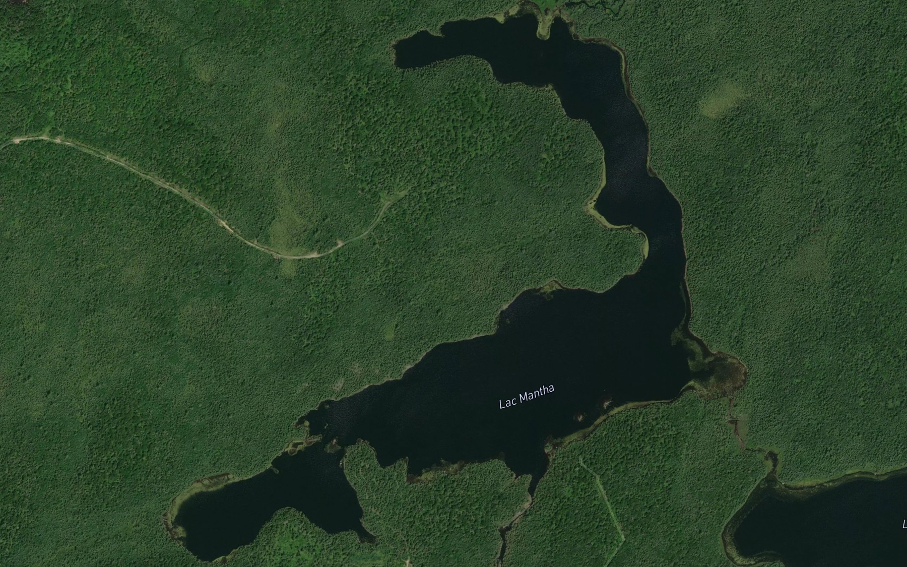 Satellite map of the Lac Mantha