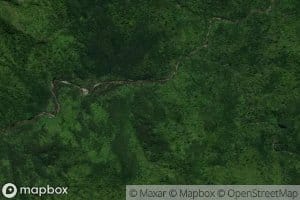 Blackberry Camp Stream