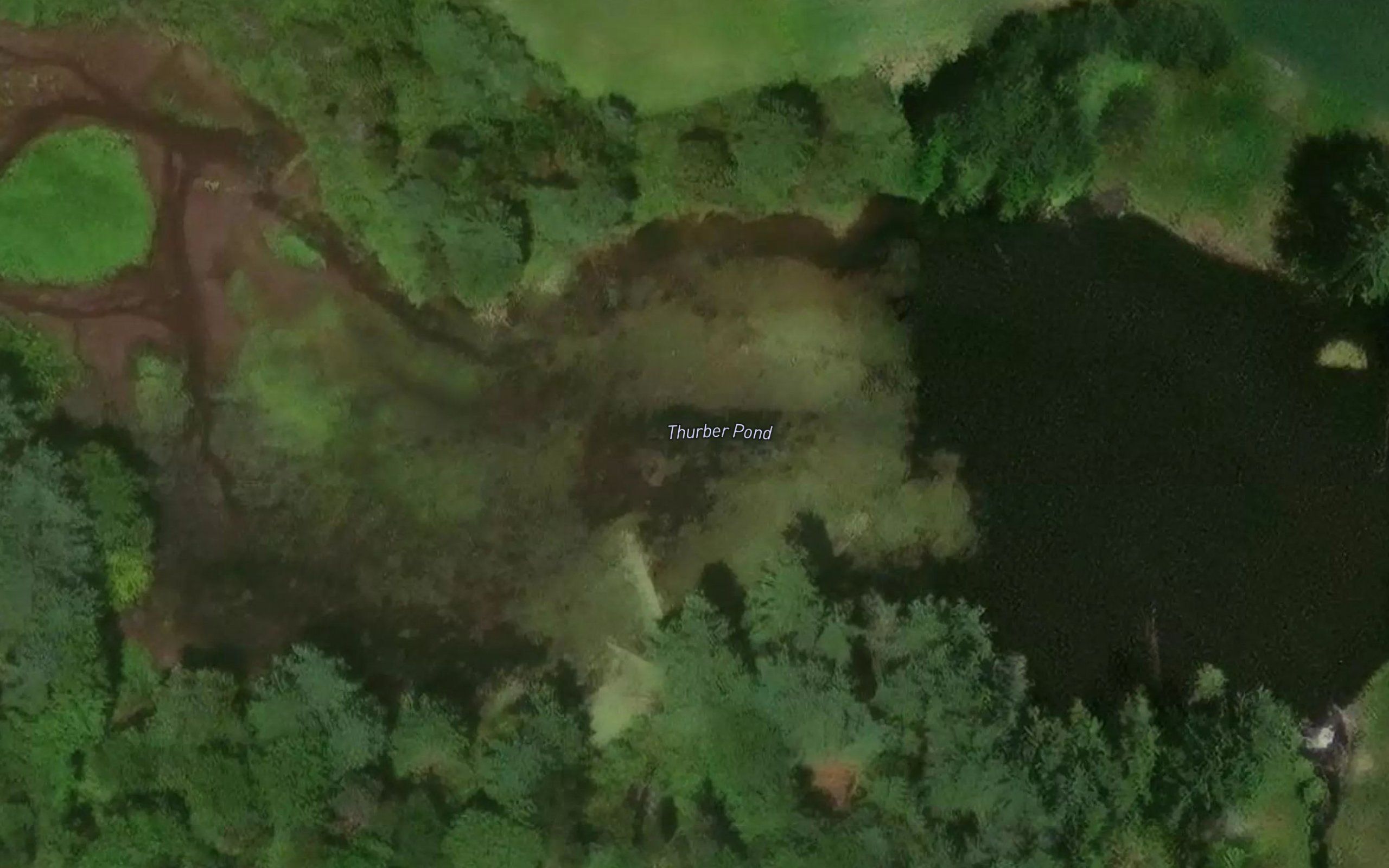 Thurber Pond