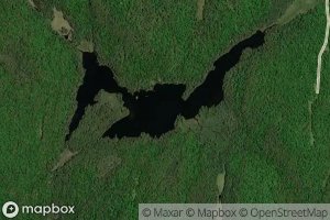 Satellite map of the White Lake