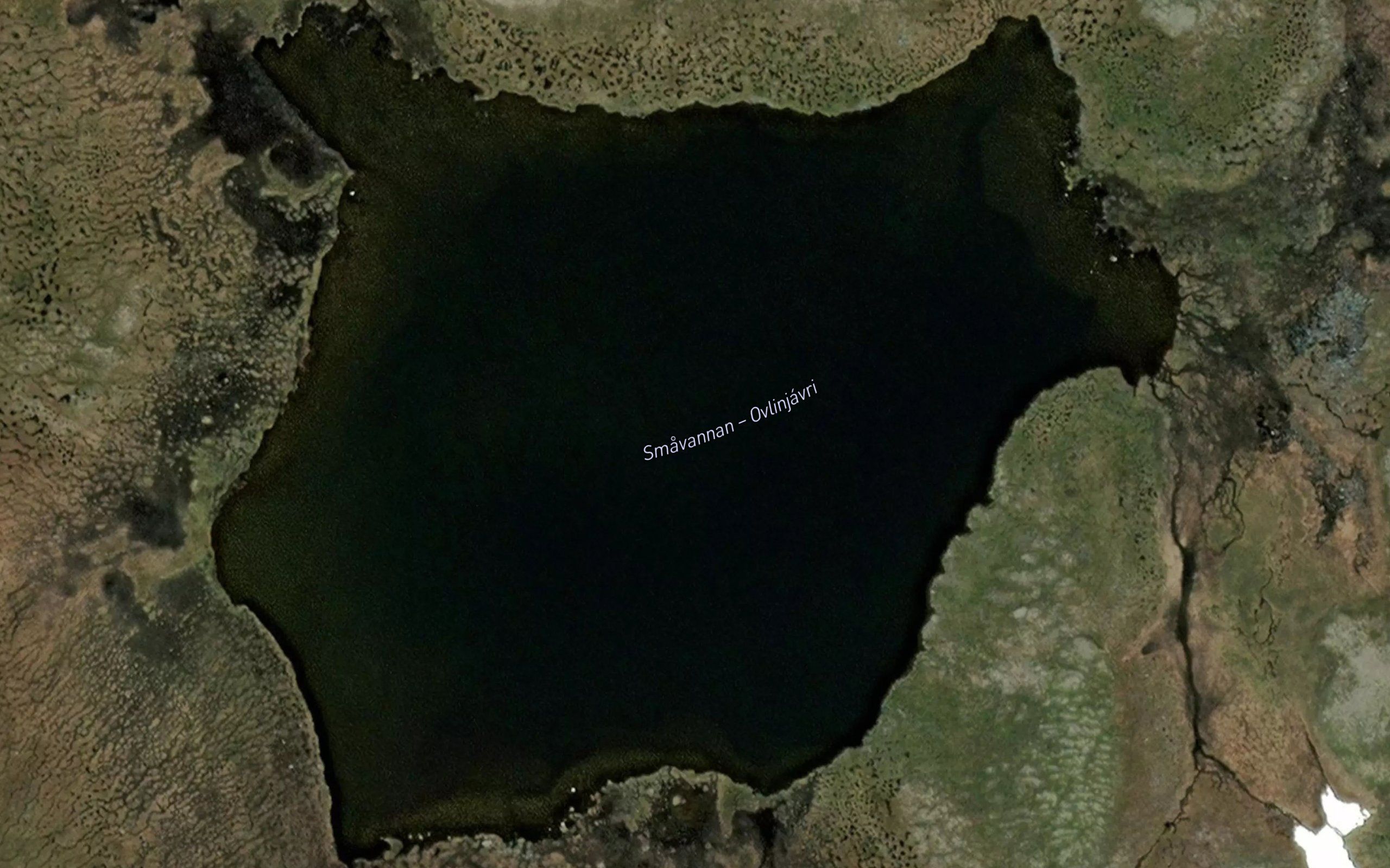 Alinjavri