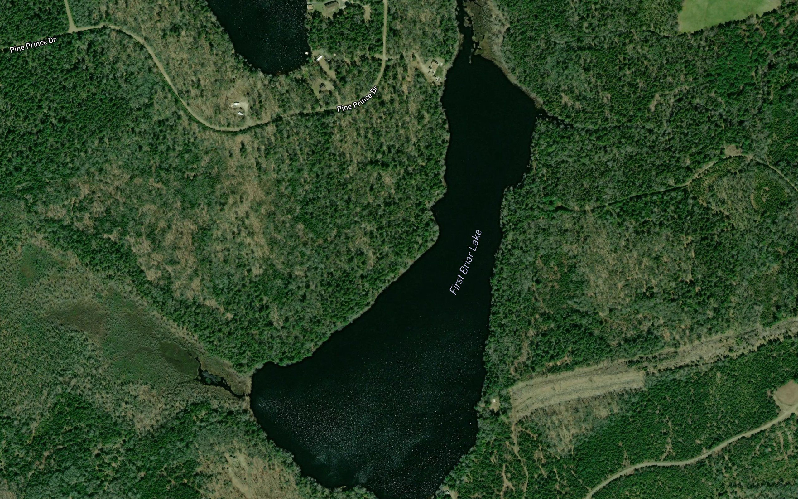 First Briar Lake