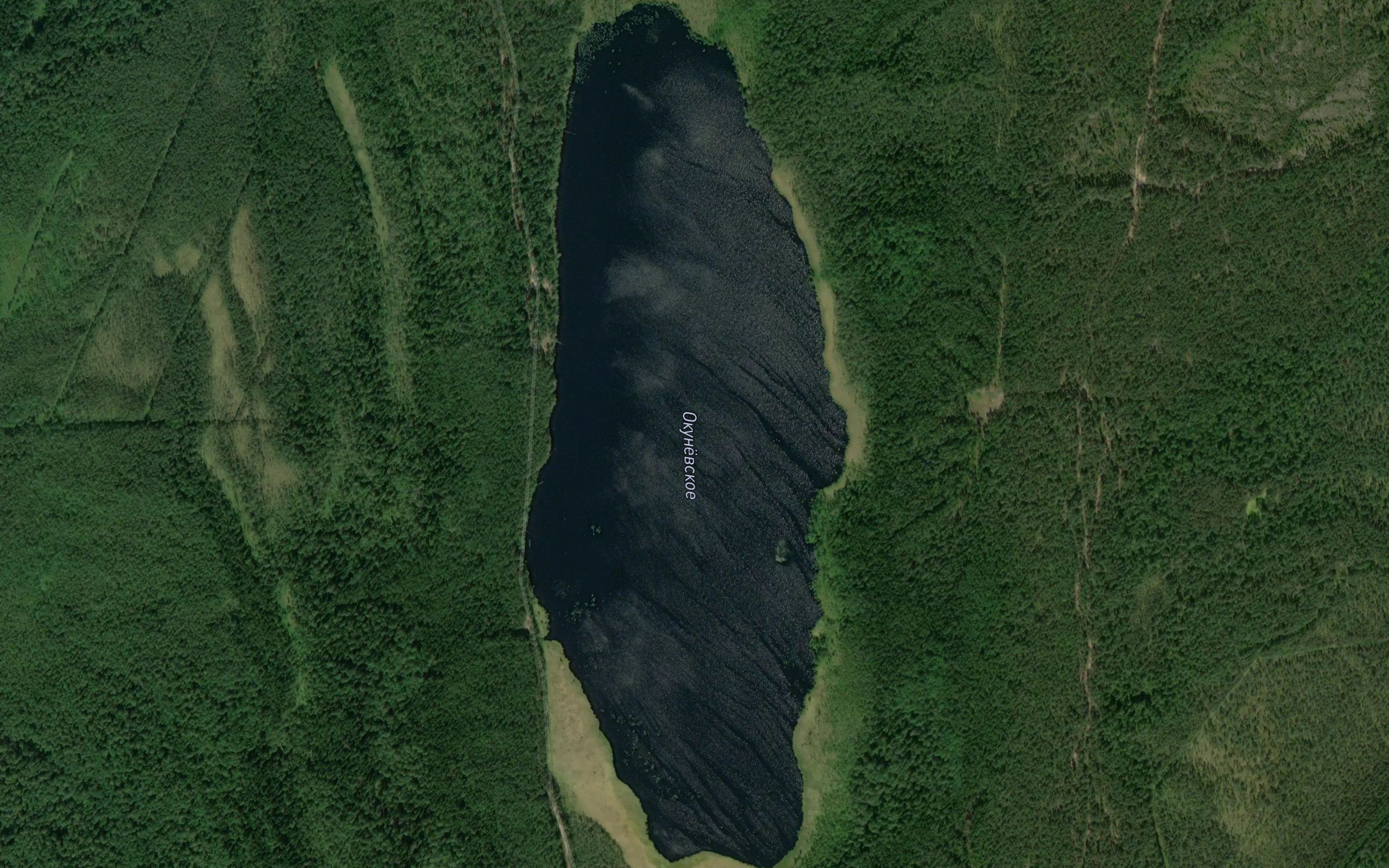 Okunevskoye