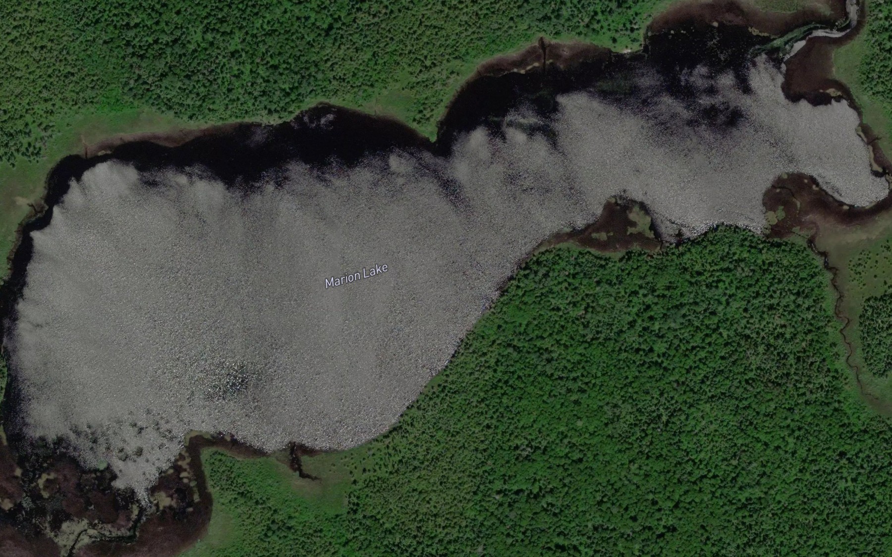 Satellite map of the Marion Lake