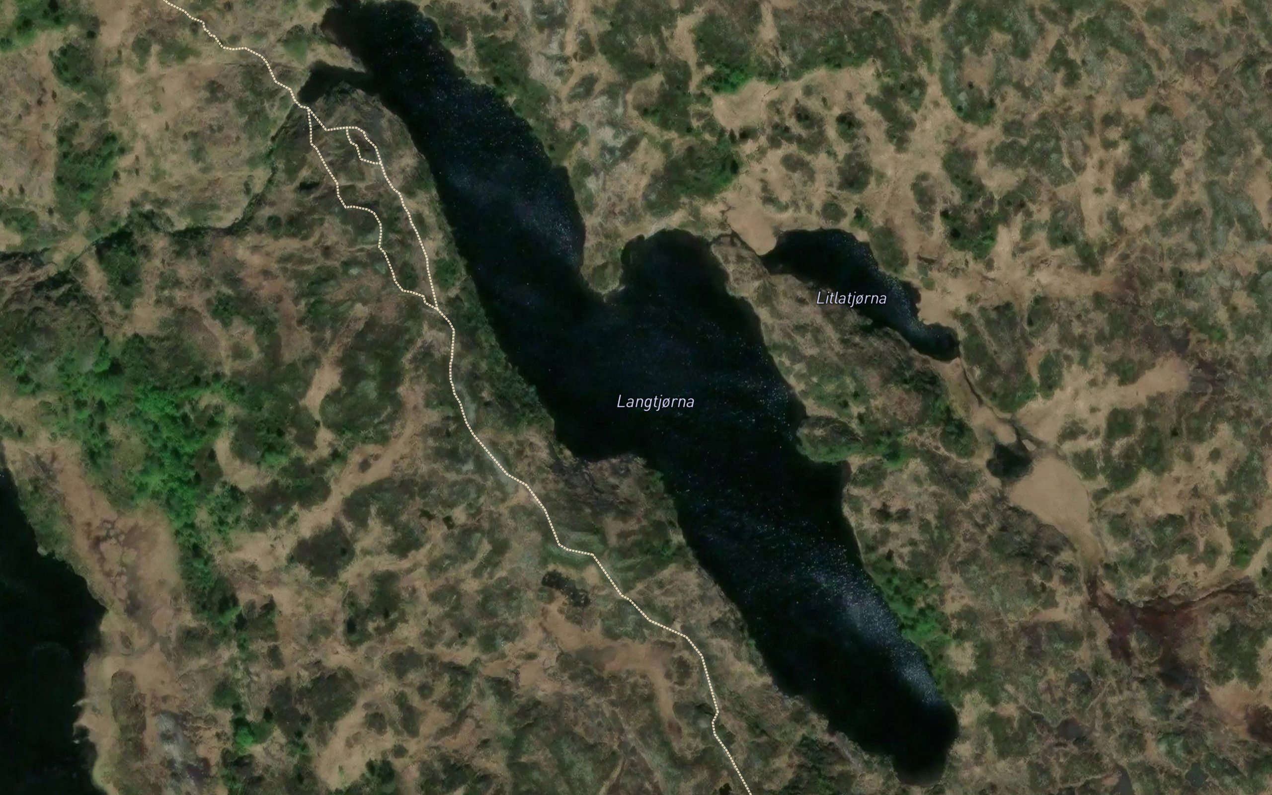 Langtjorni