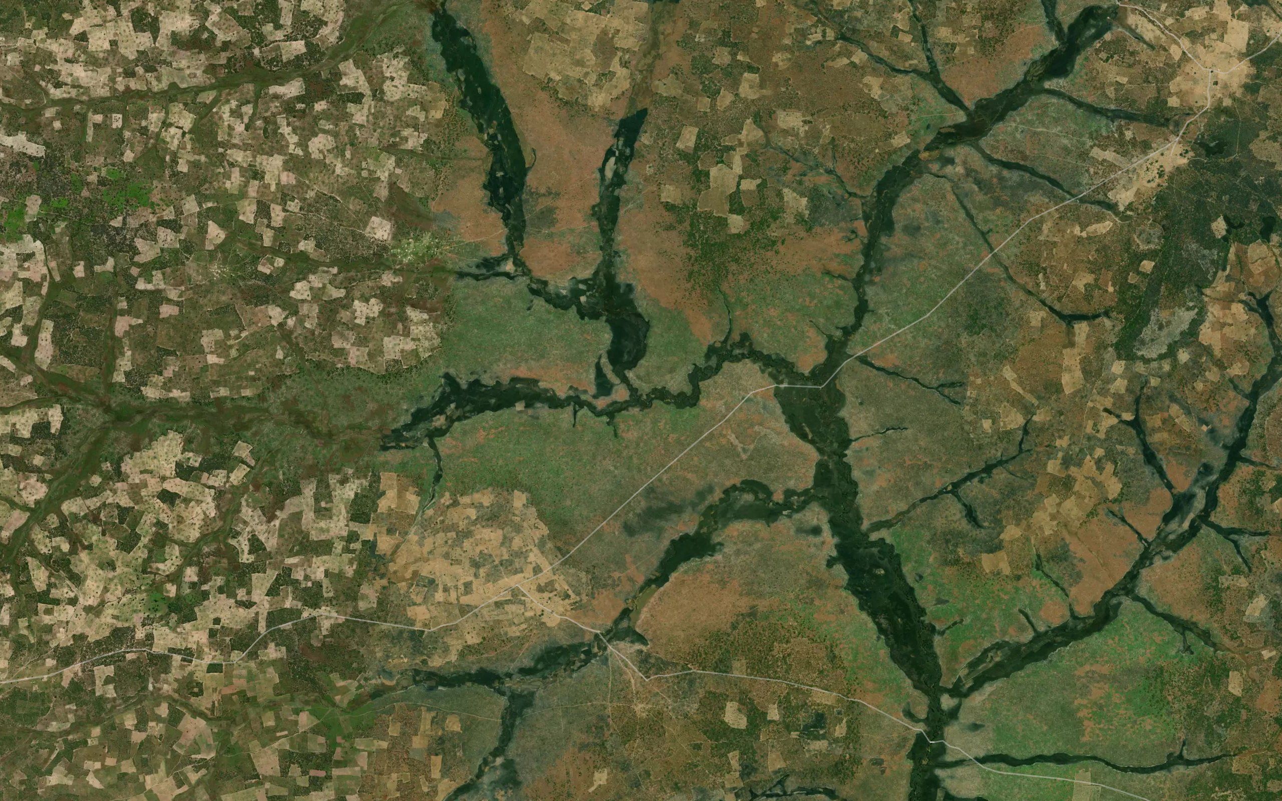 TchinhuangoloPrimeiro