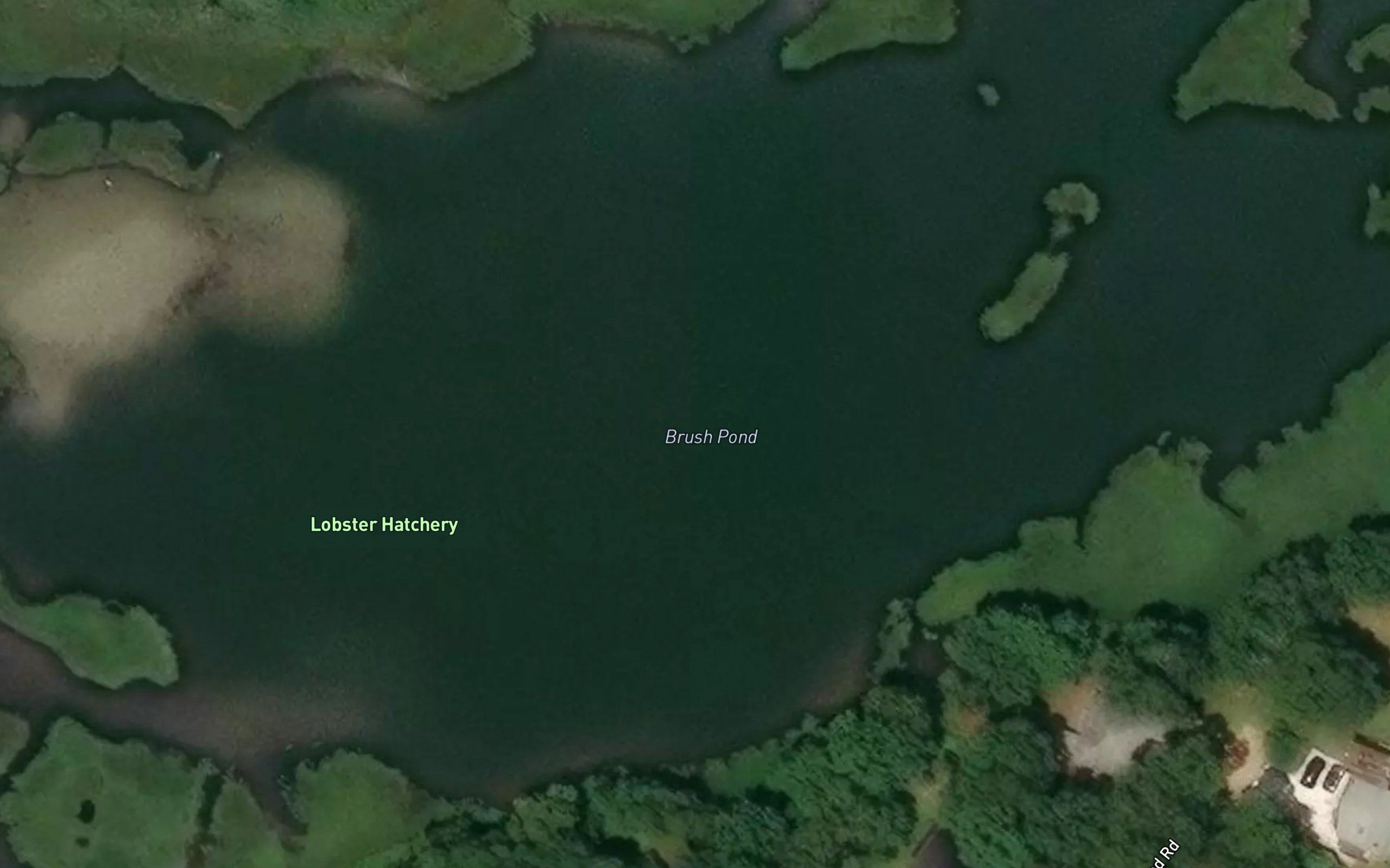Brush Pond