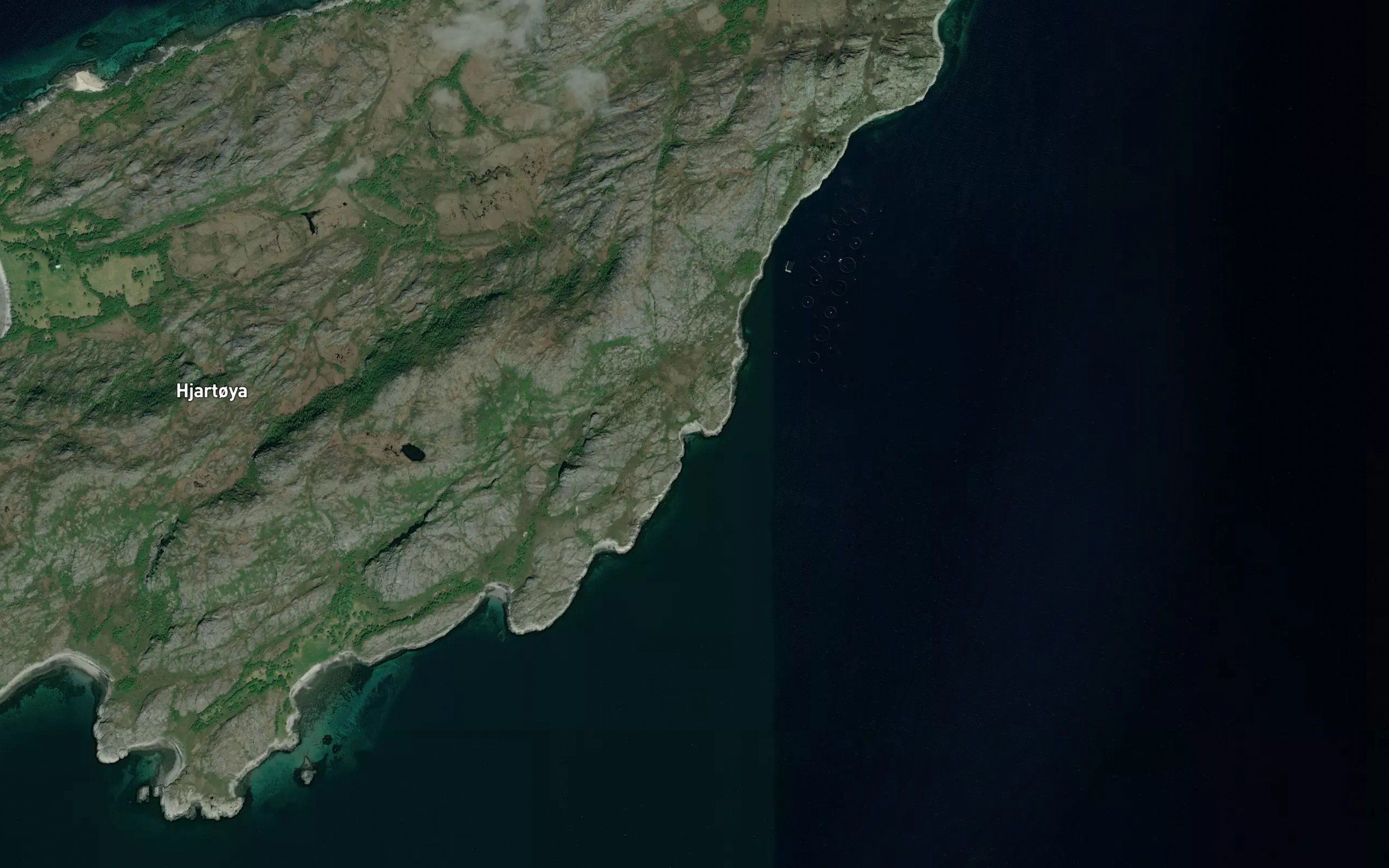 Mjavika