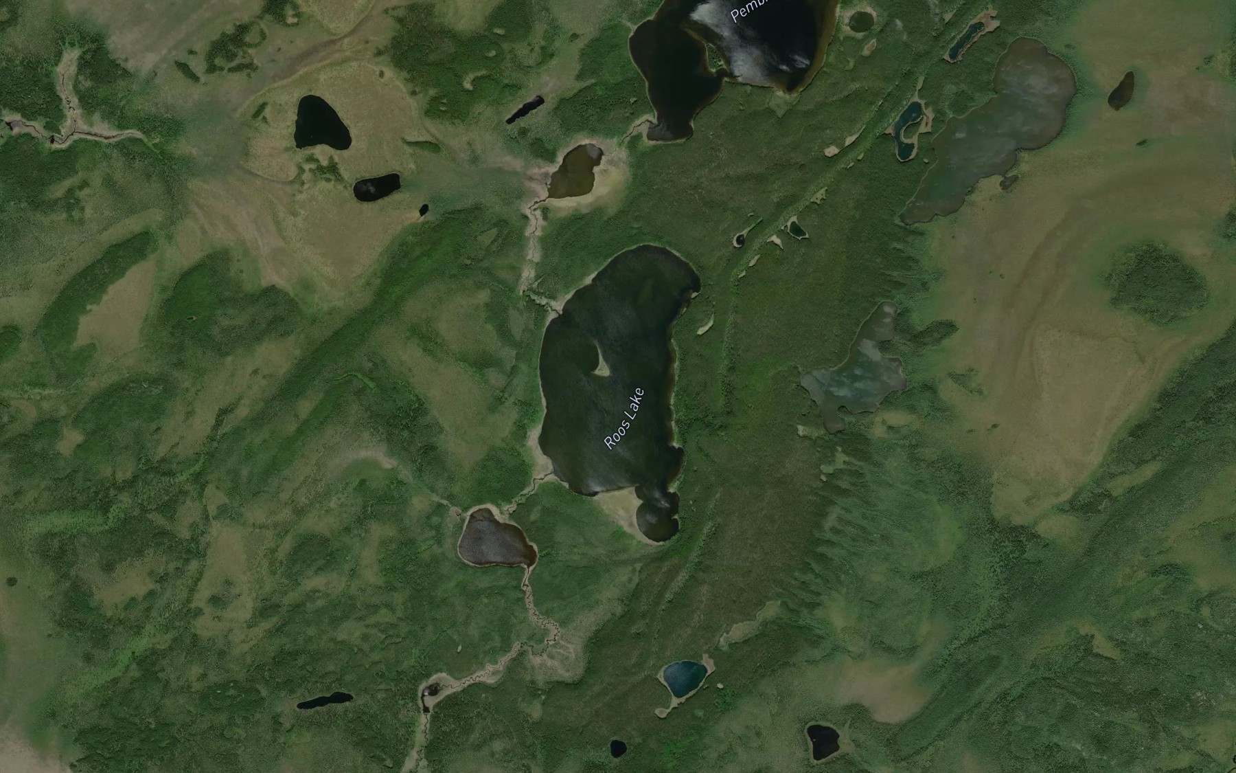 Satellite map of the Roos Lake