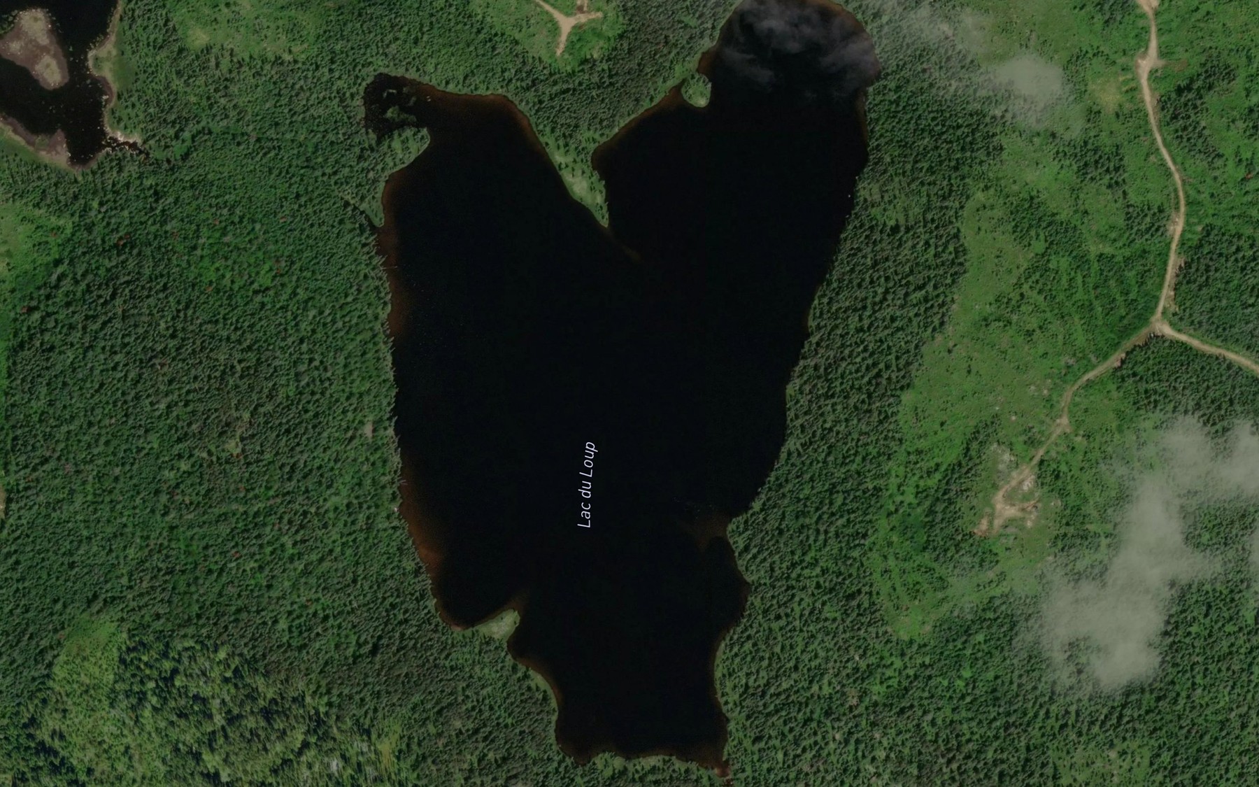 Satellite map of the Lac du Loup