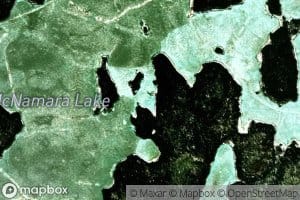 McNamara Lake