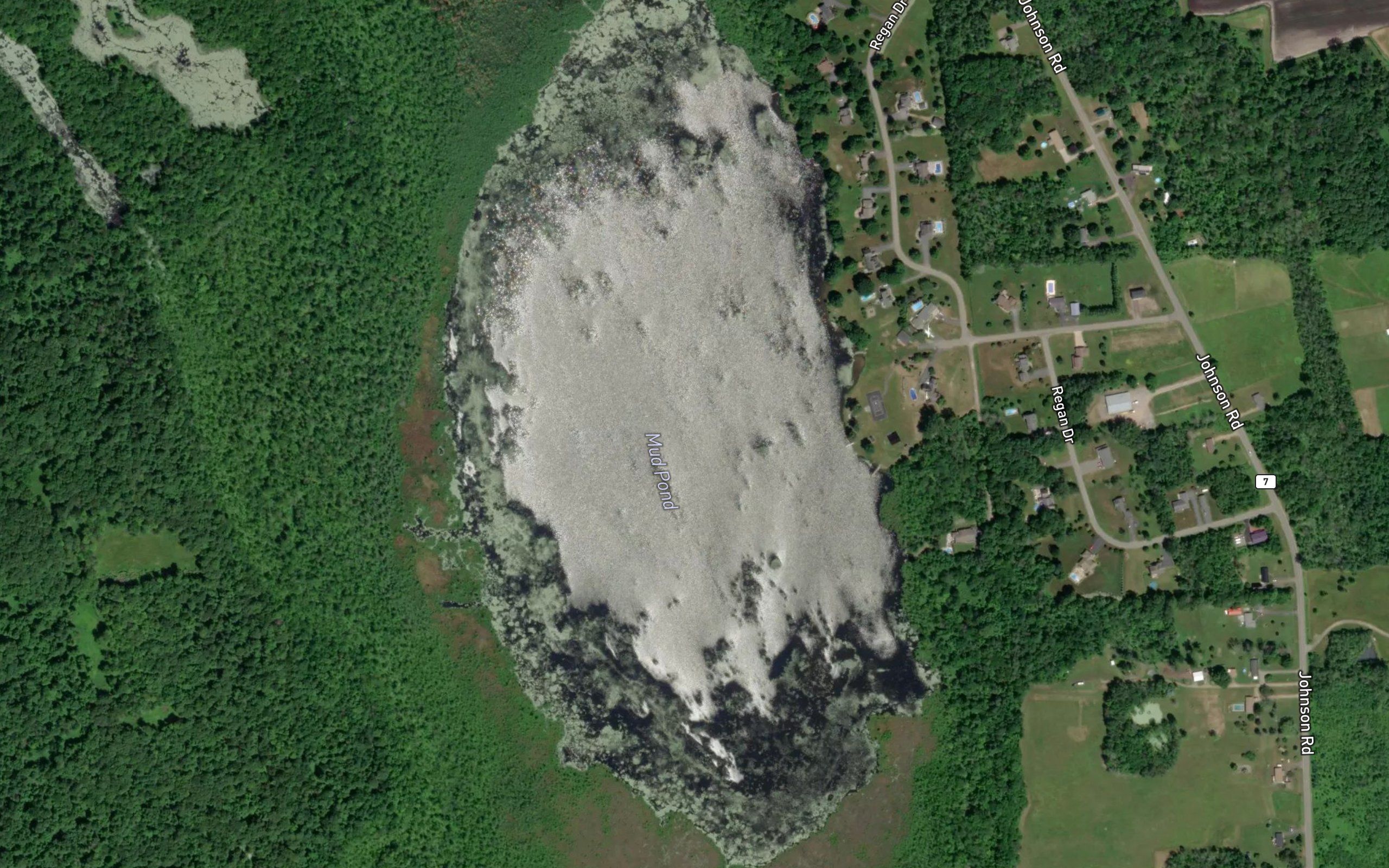 Mud Pond