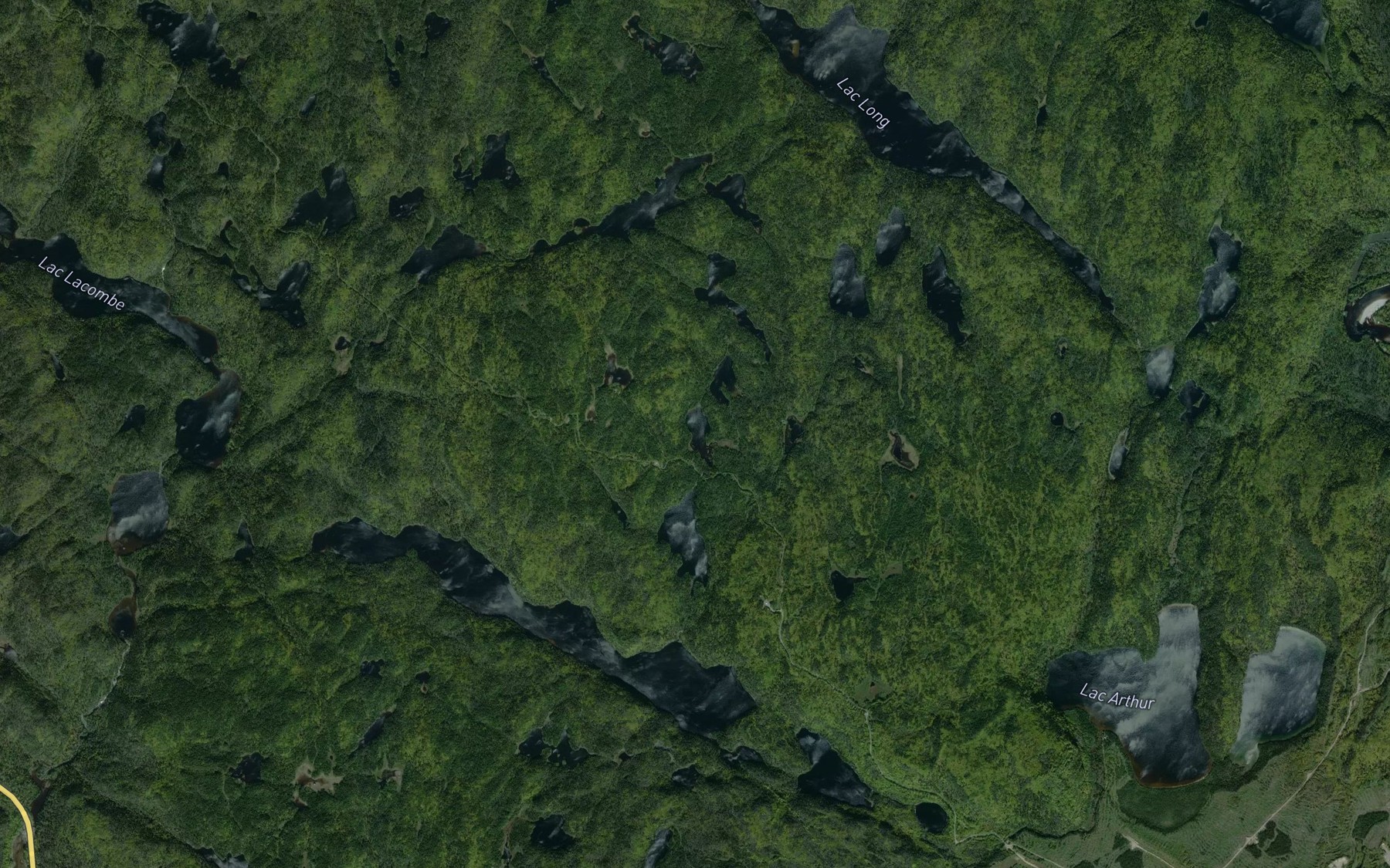 Satellite map of the Premier Lac