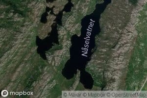 Naselvatnet