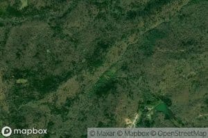 Bear Mountain Branch