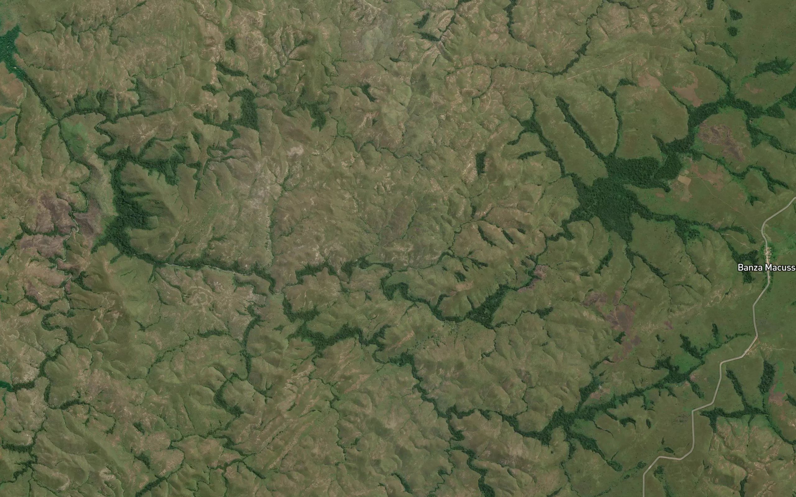 Muruica