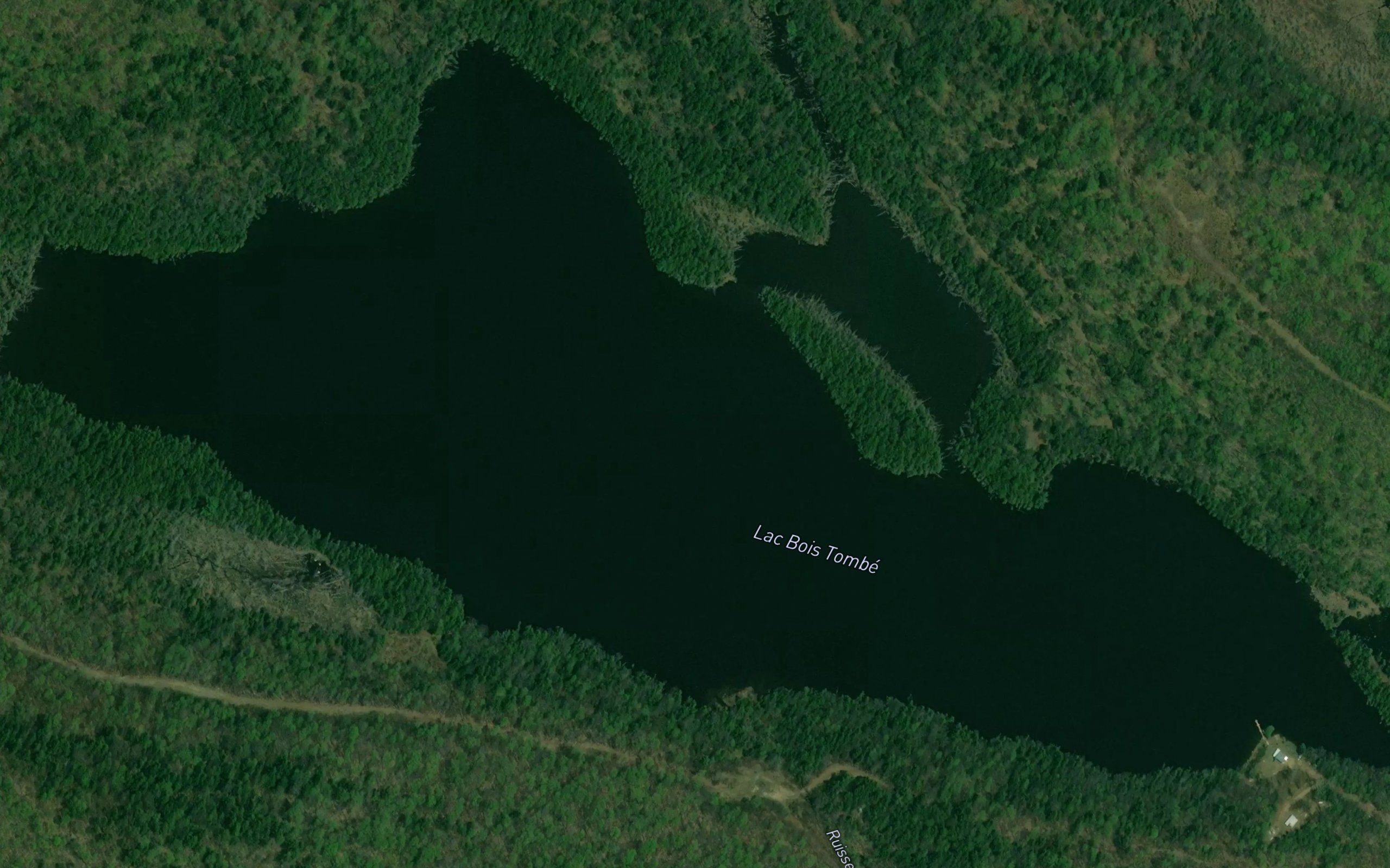 Lac Bois Tombe