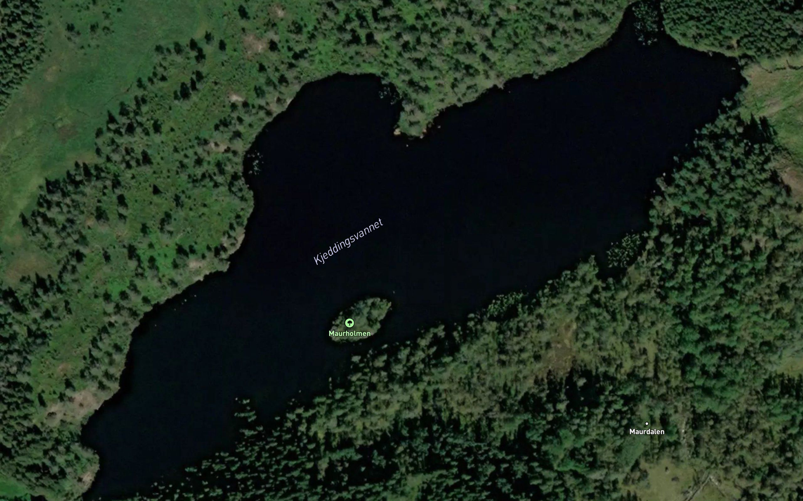 Kjeddingsvannet