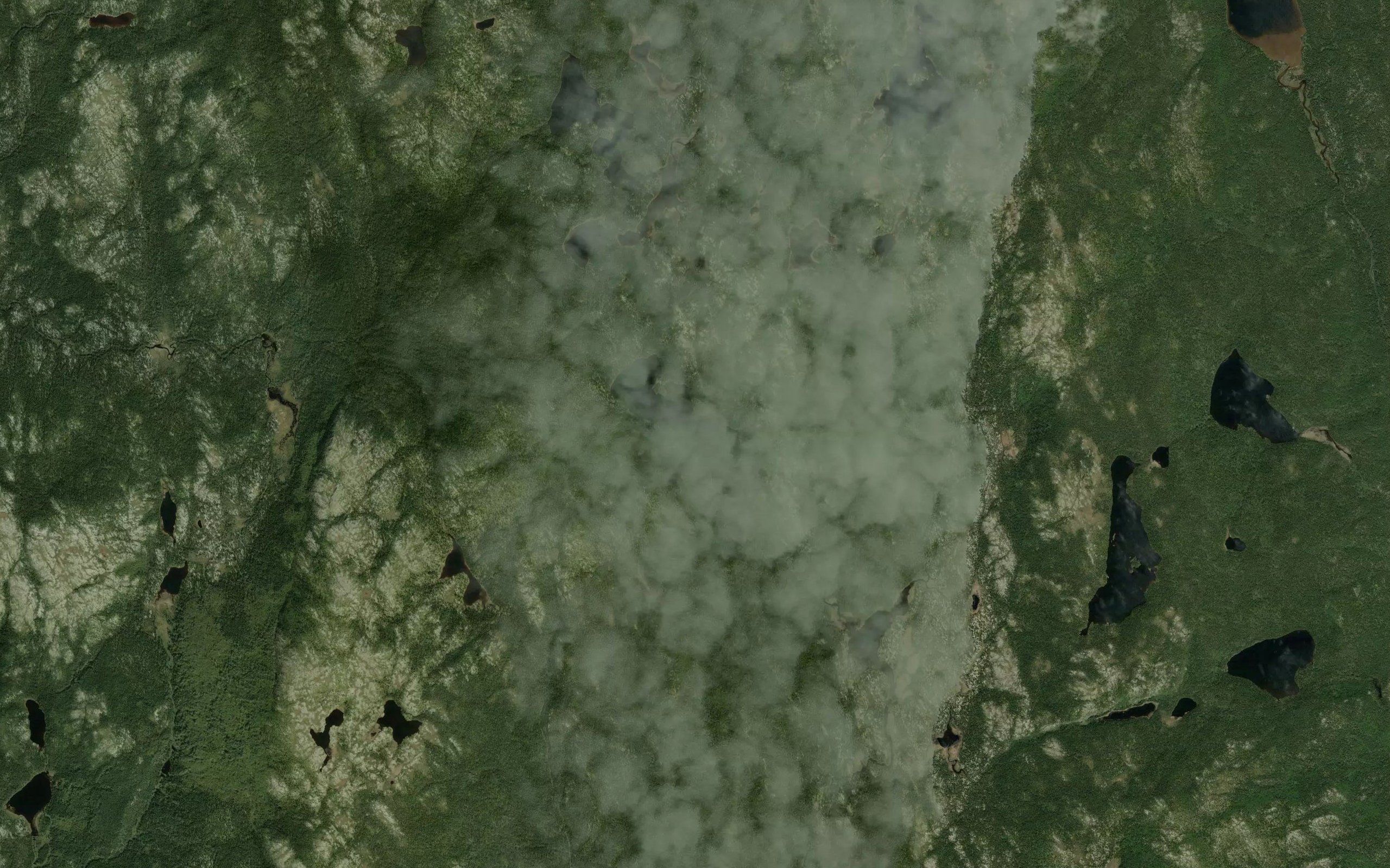 Lac Commensal