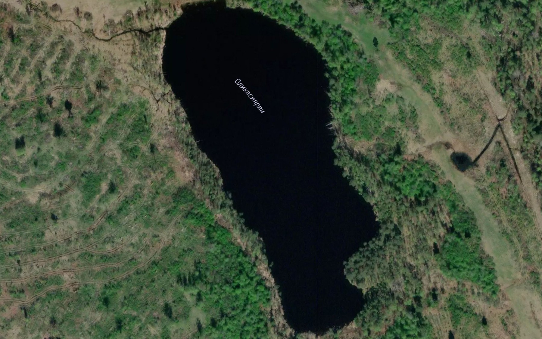 Satellite map of the Ollikaisenjaervi