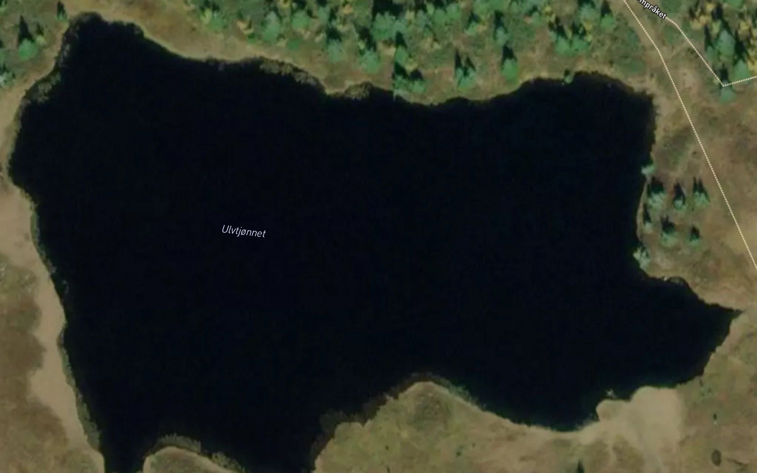 Ulvtjornet