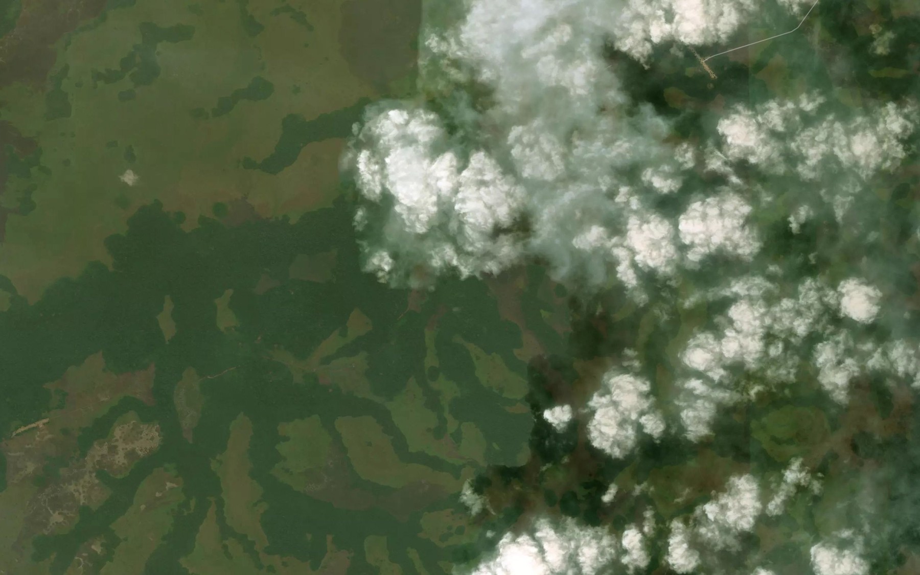 Satellite map of the Assama