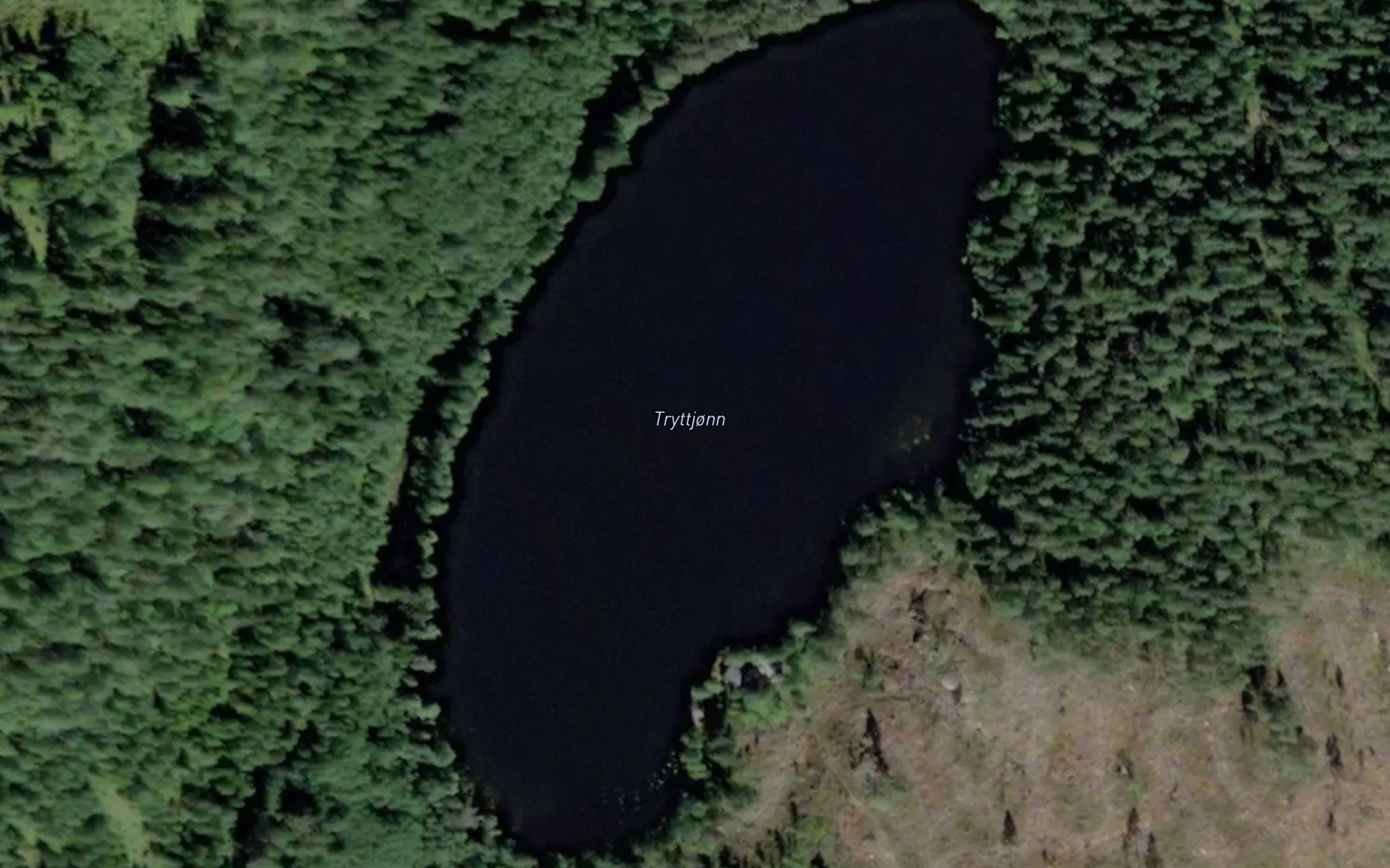 Trytetjorna
