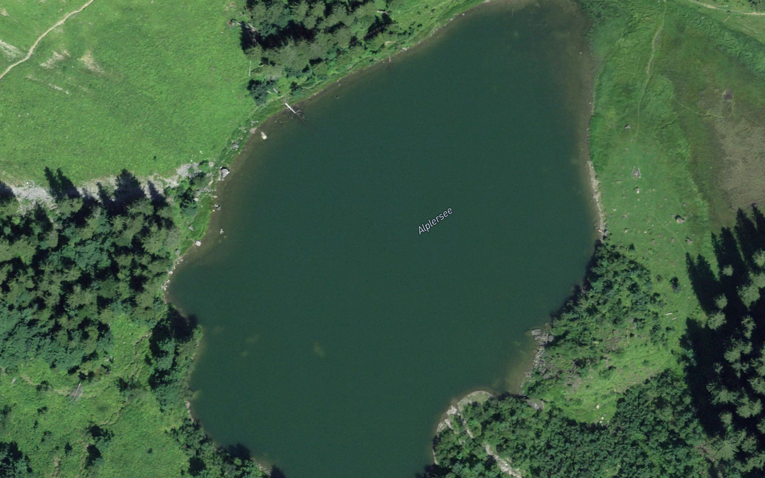 Alpler See