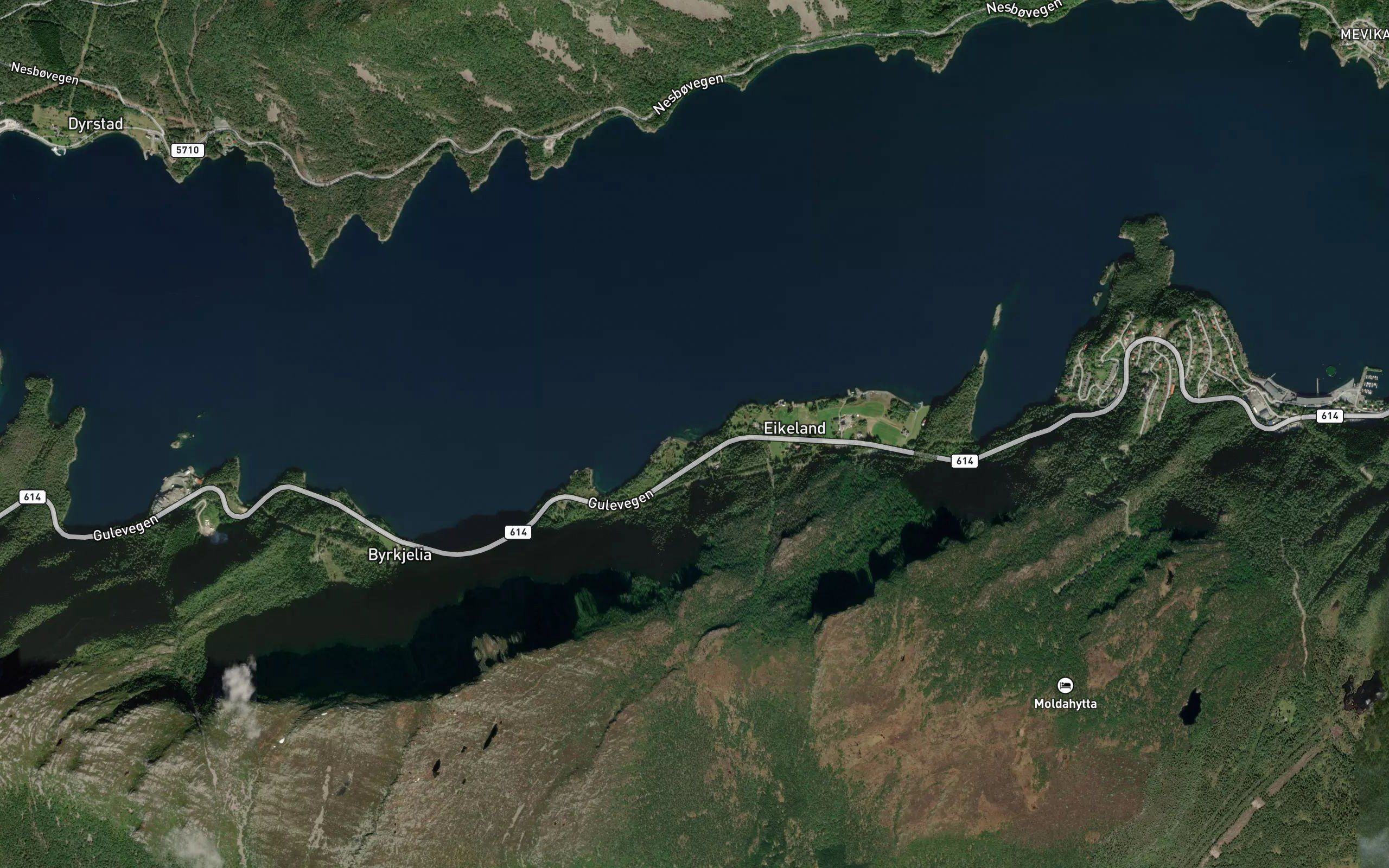 Steinvika