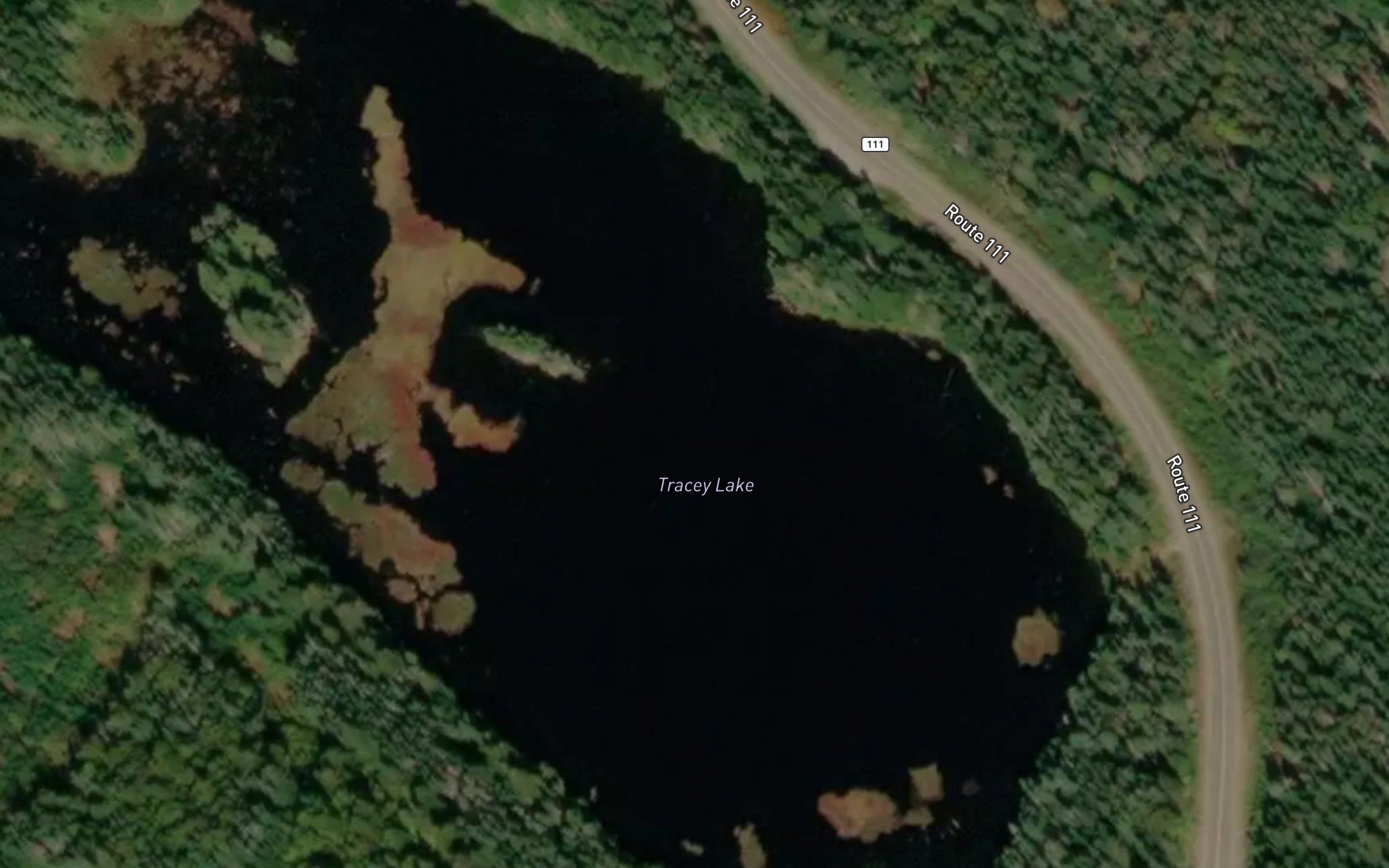 Tracey Lake