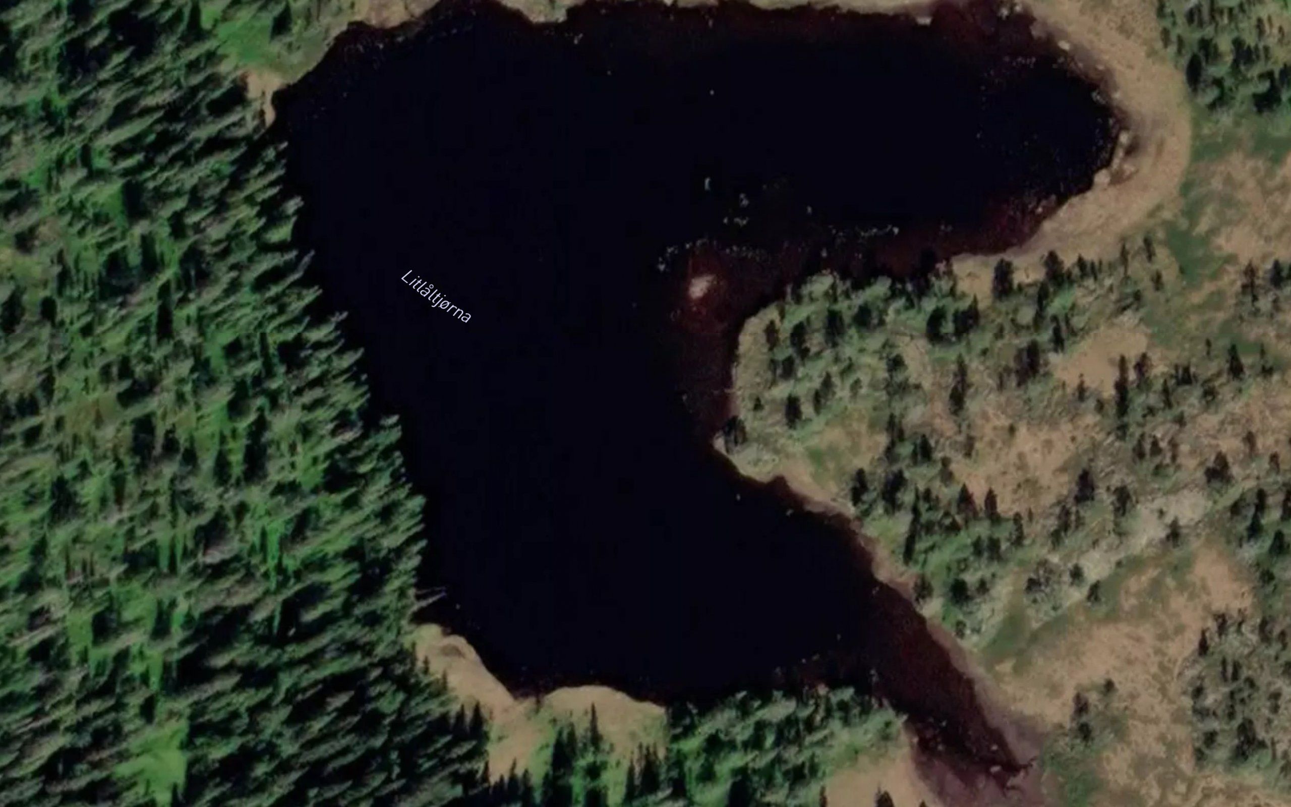 Litlaltjorna