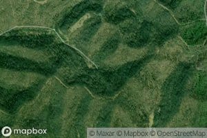 Right Fork Grapevine Creek