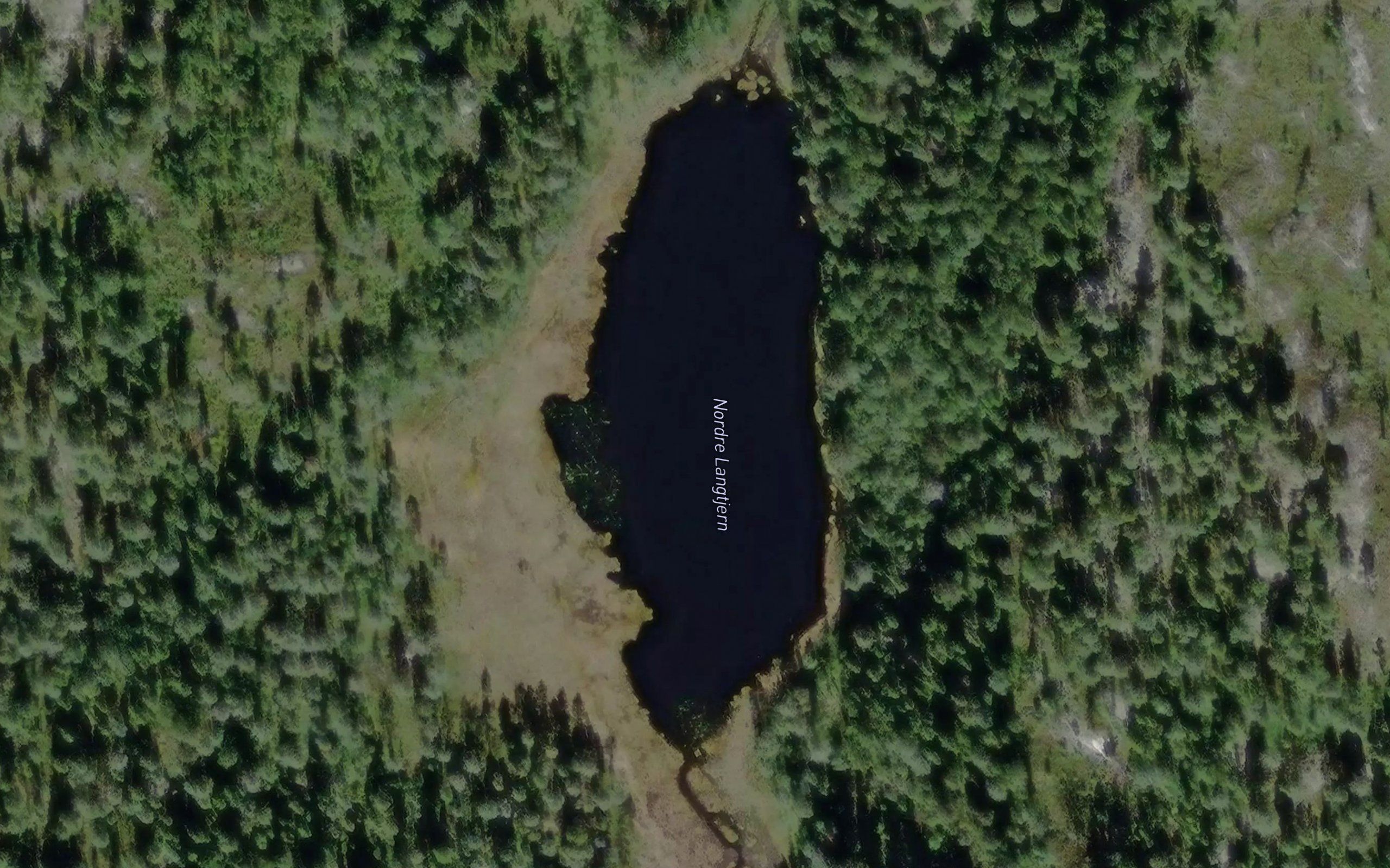Langtjerna